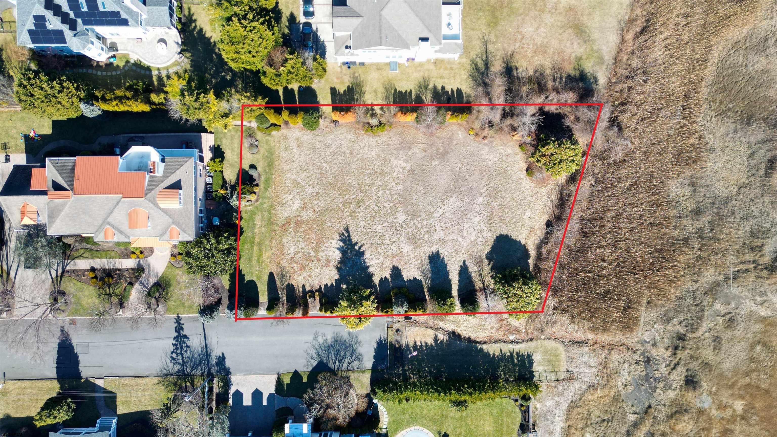 208 Balfour Avenue - Picture 4