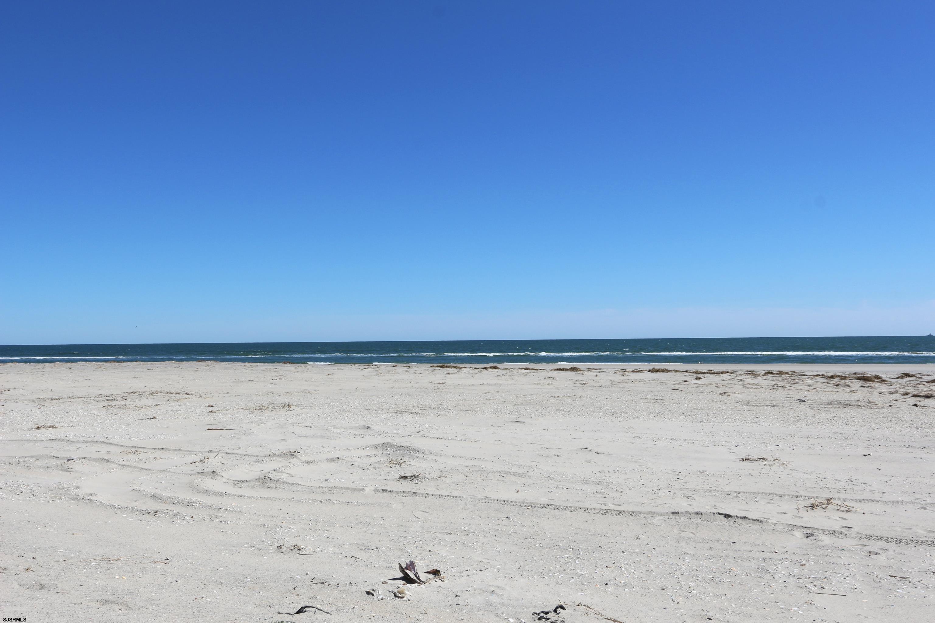 5000 Boardwalk - Picture 4