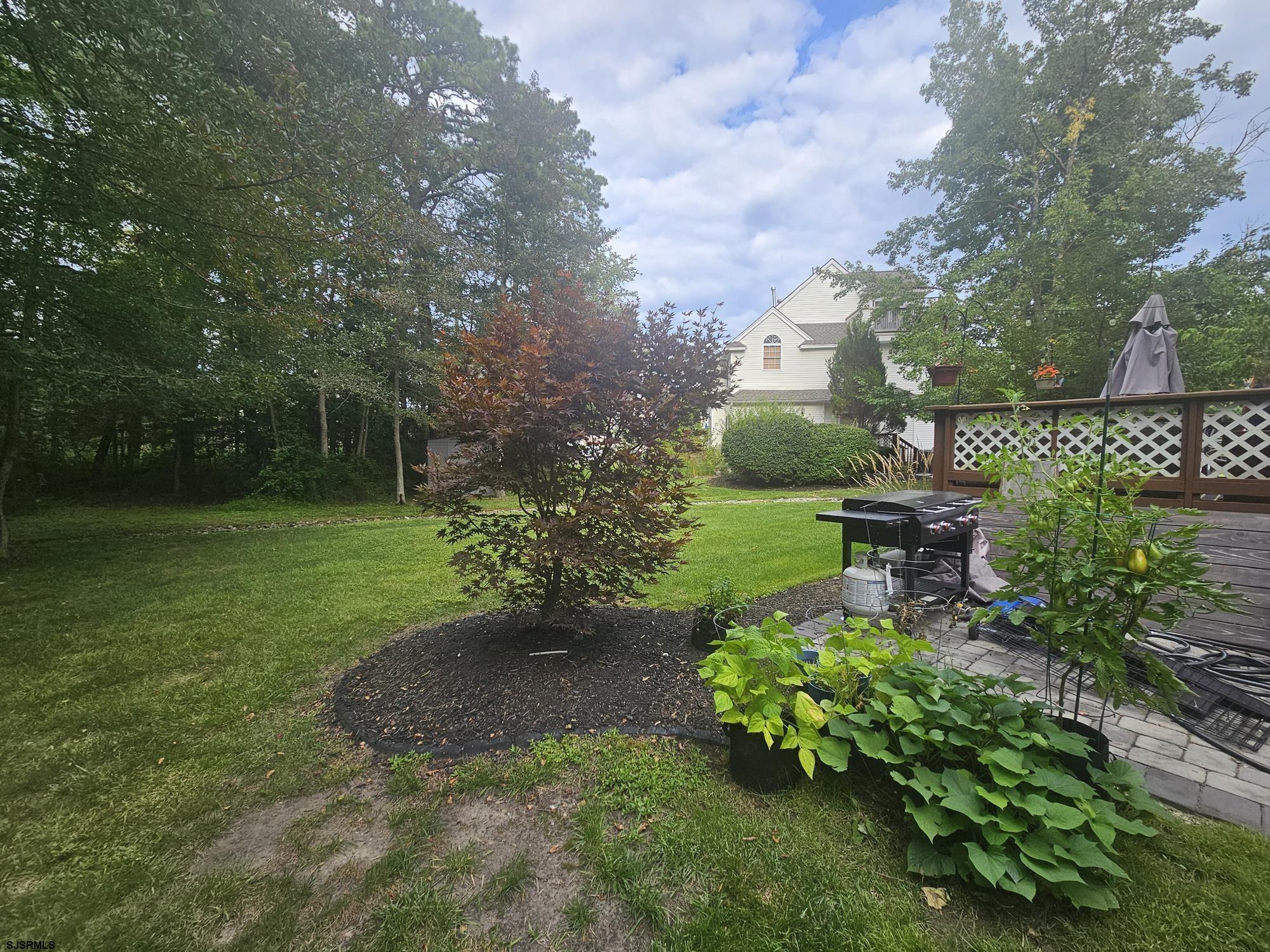 14 Courtland Court