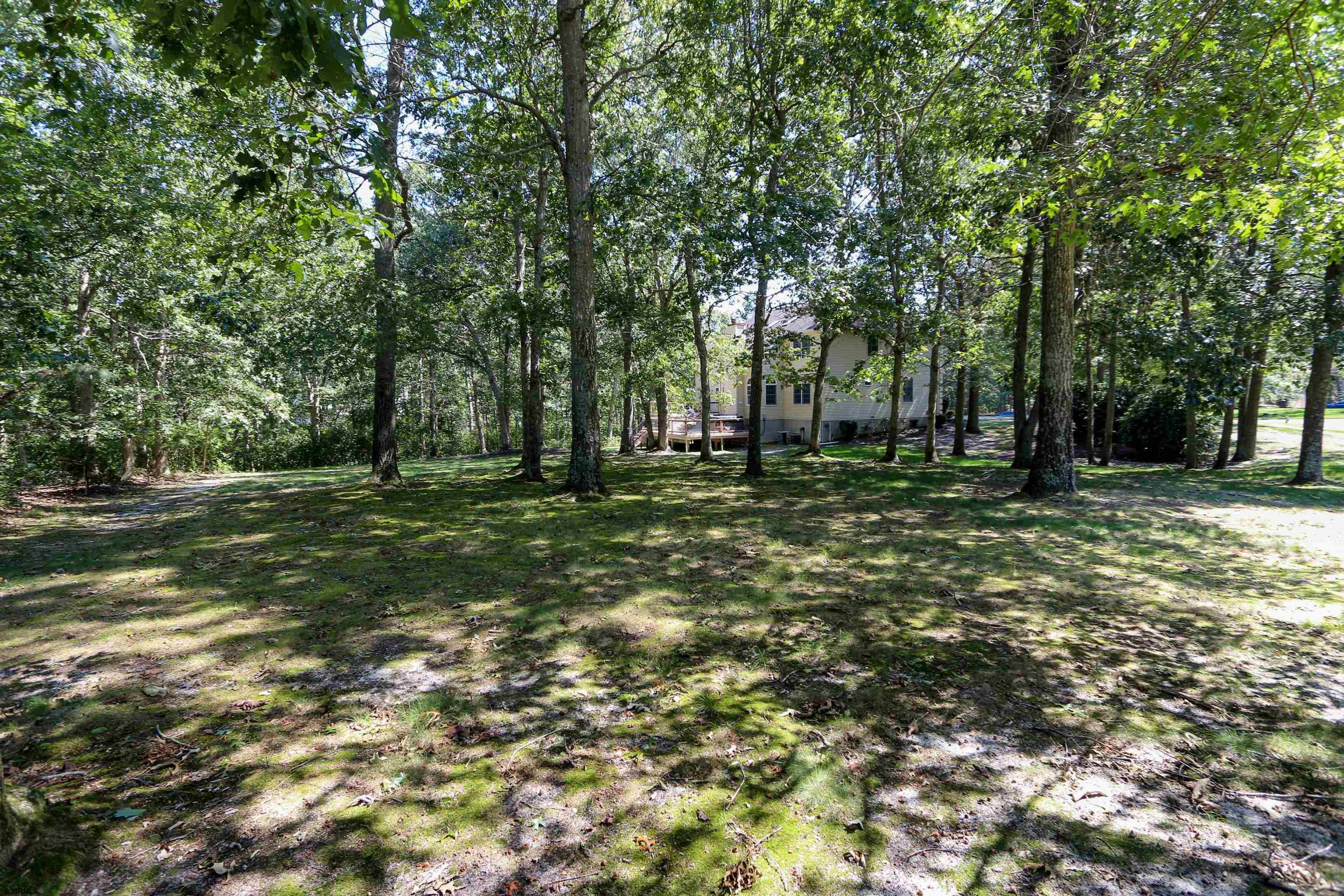 113 Lighthouse Ln