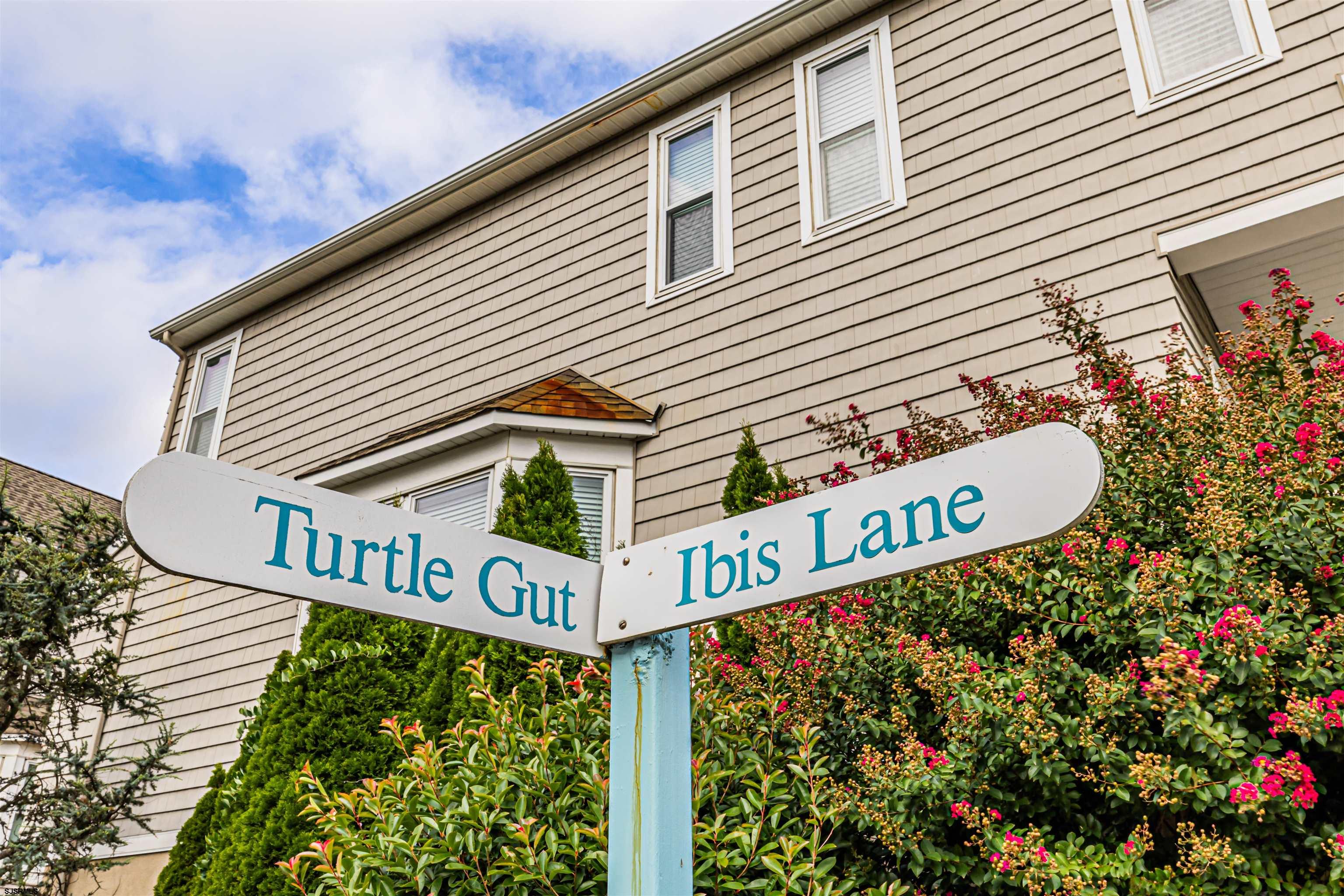 524 Turtle Gut Cir - Picture 2