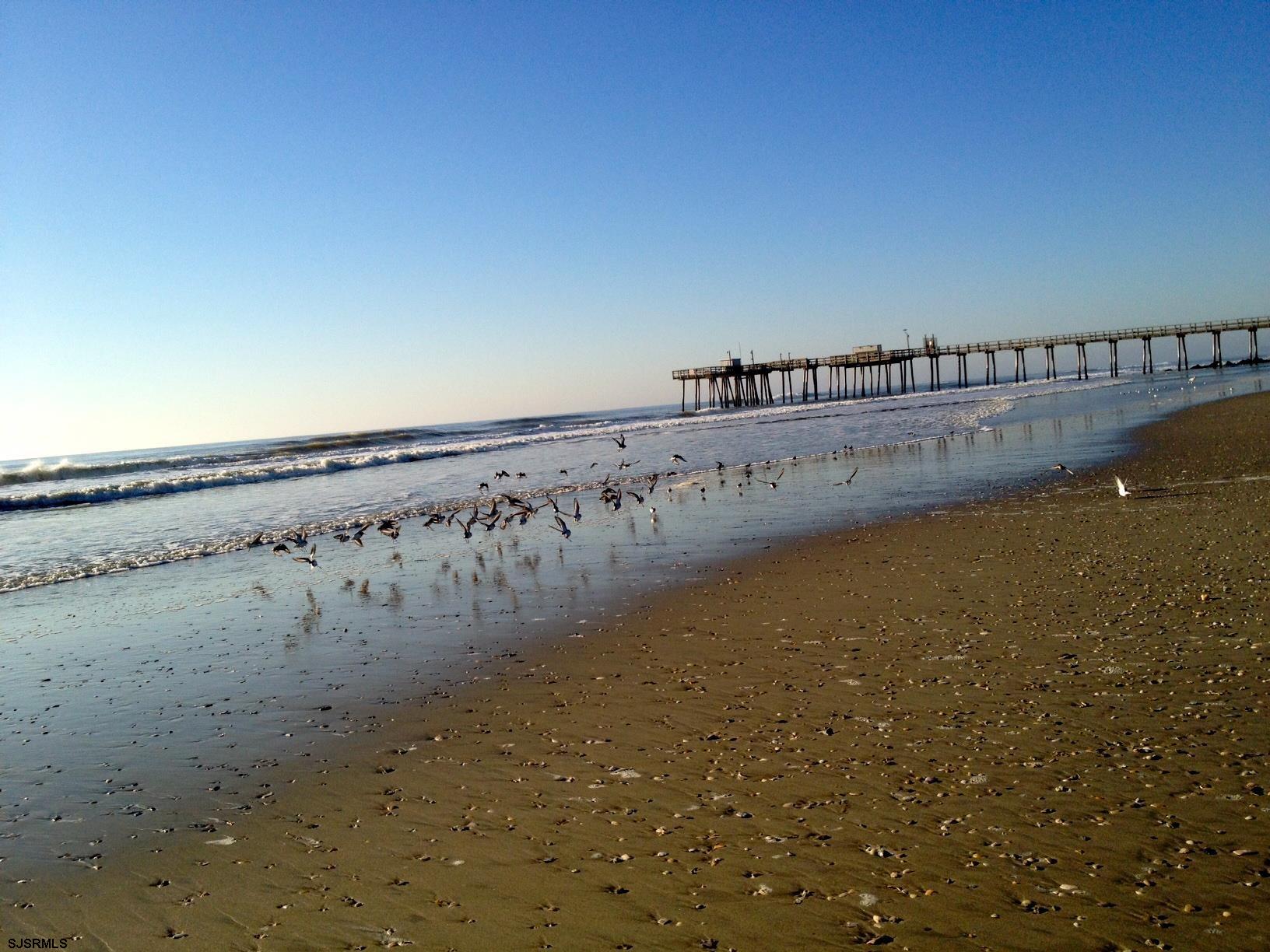 22 N Coolidge Avenue