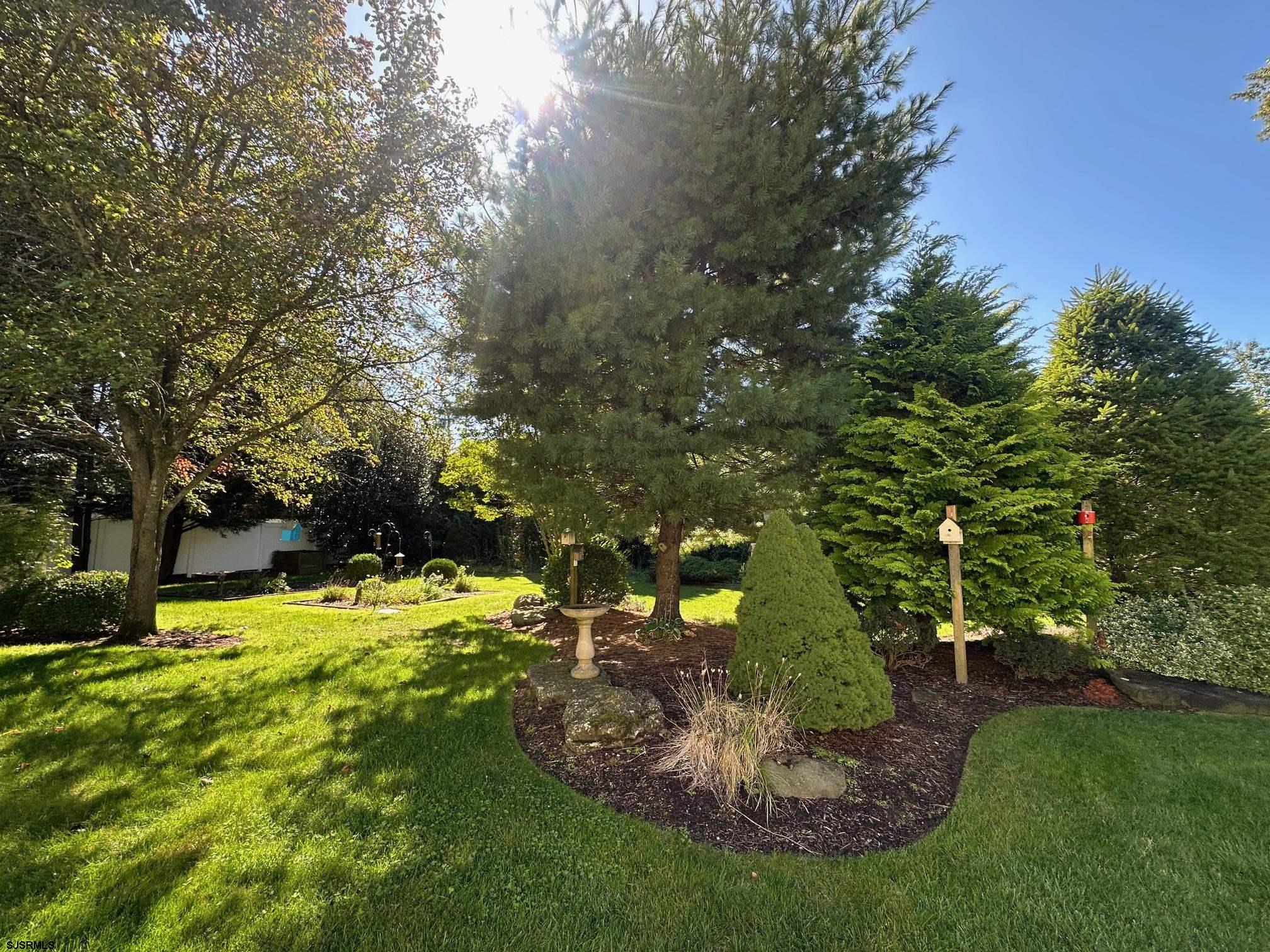 203 Rosemarie Dr