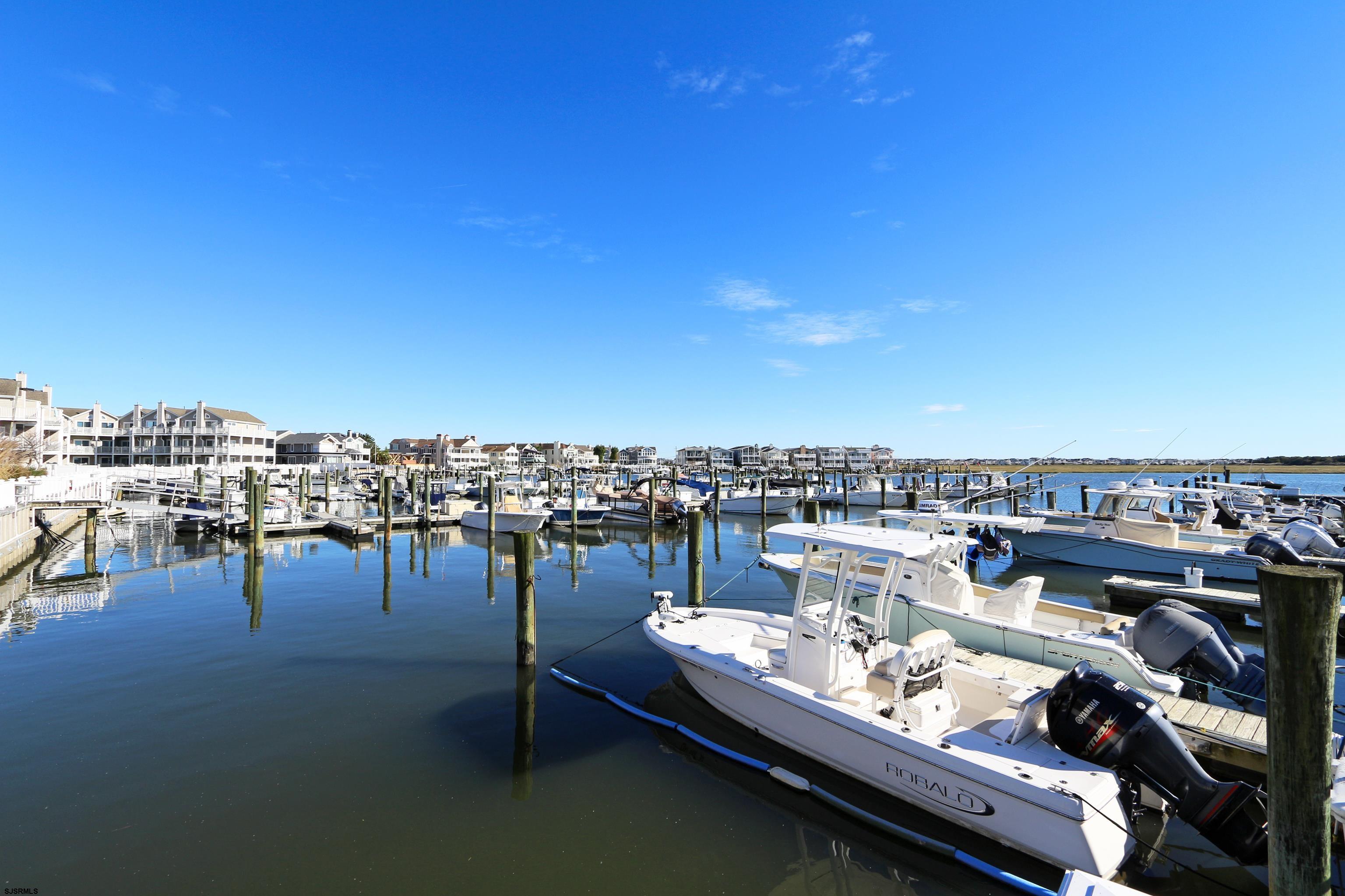 413 Whelk Dr - Picture 4