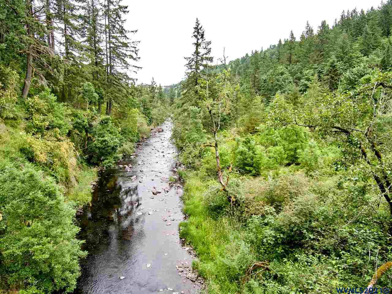 Image 15