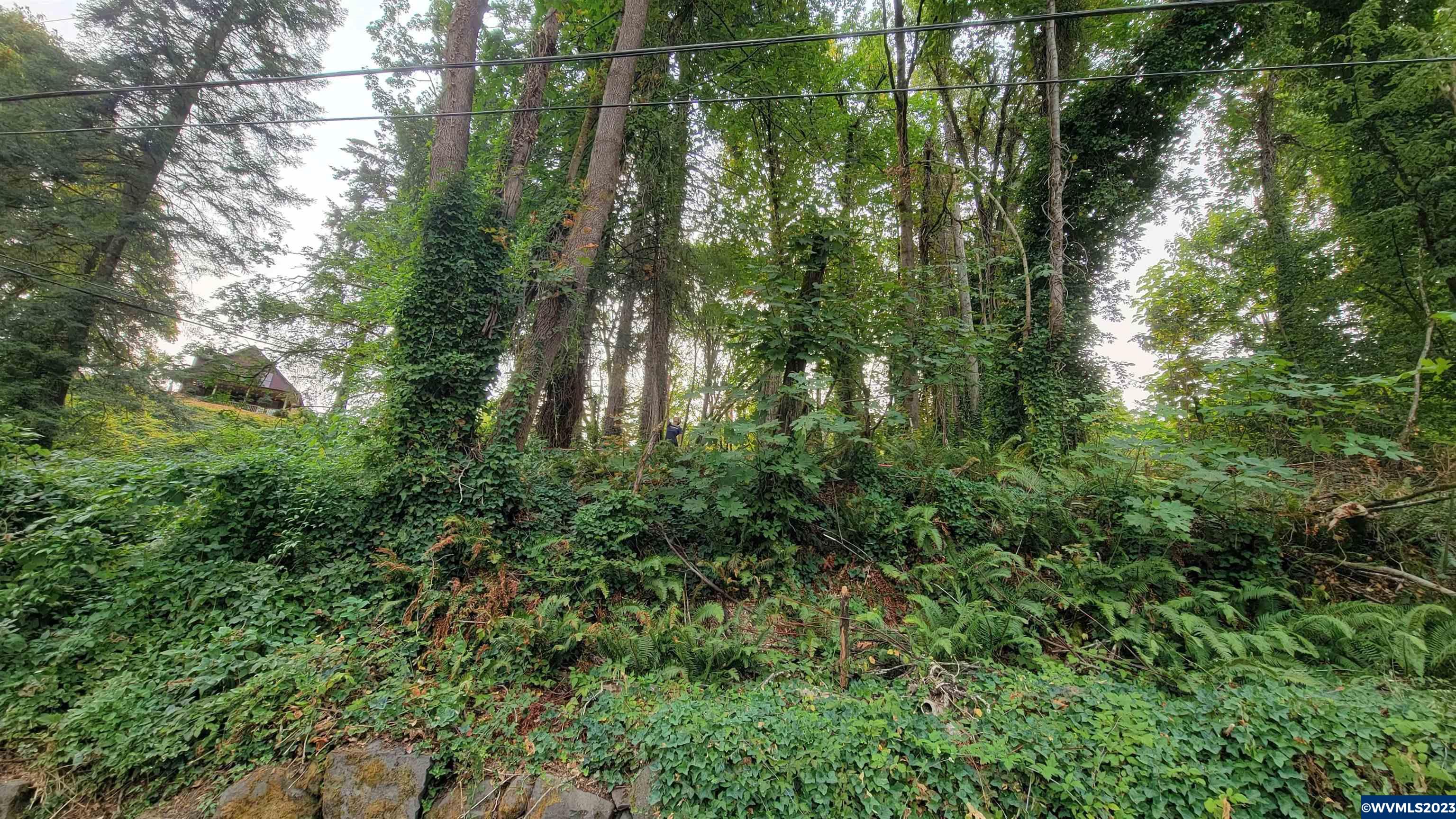 First Image