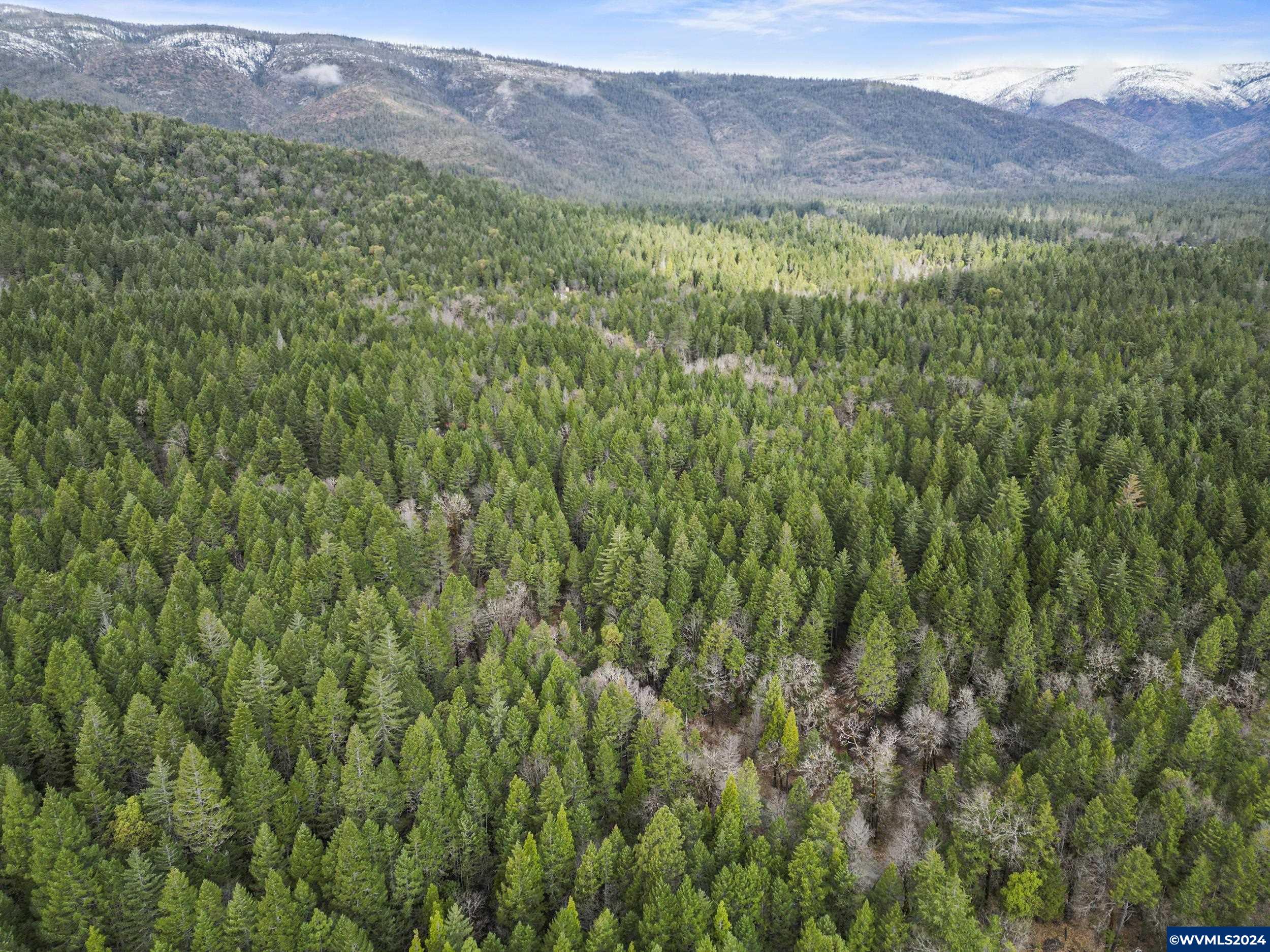 First Image