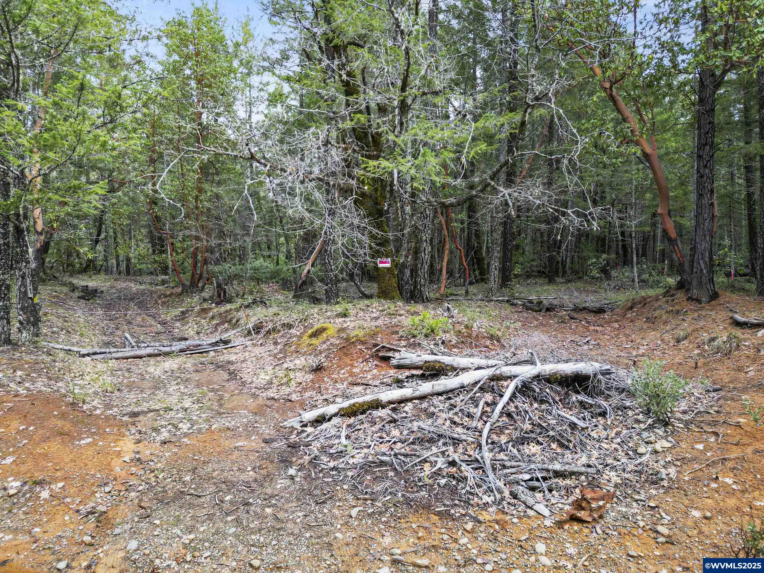 Image 14