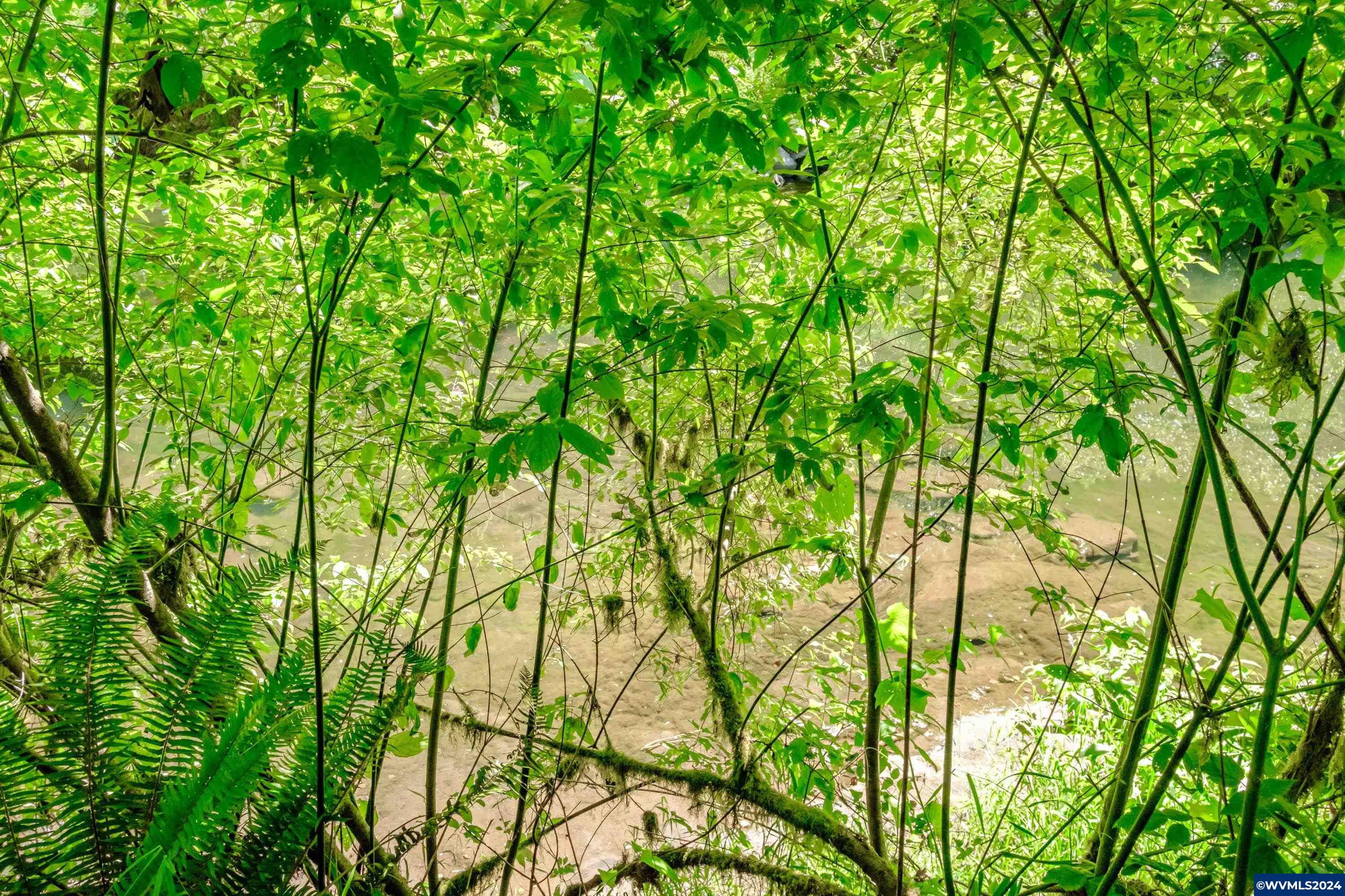 Image 15