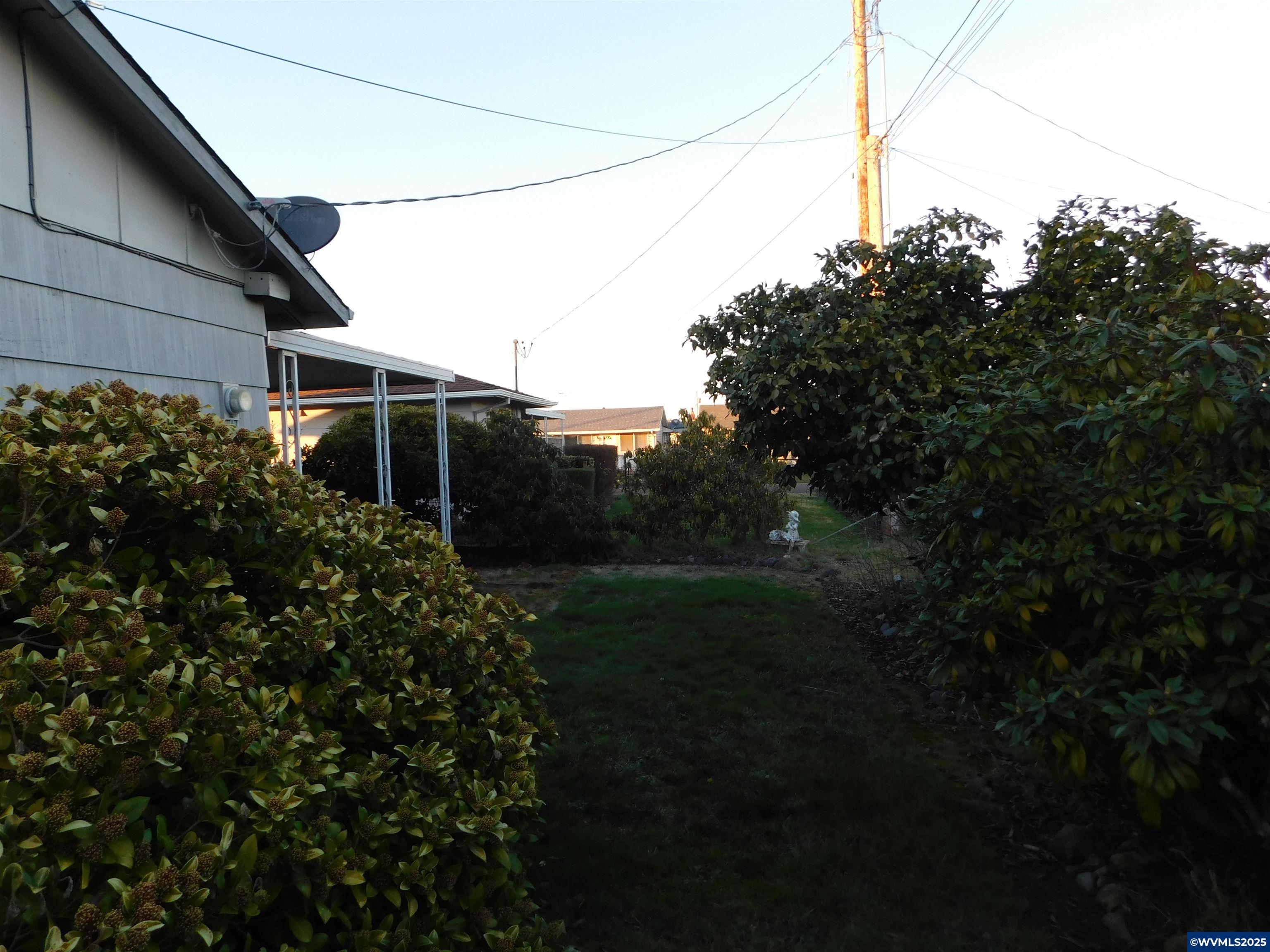 Image 14