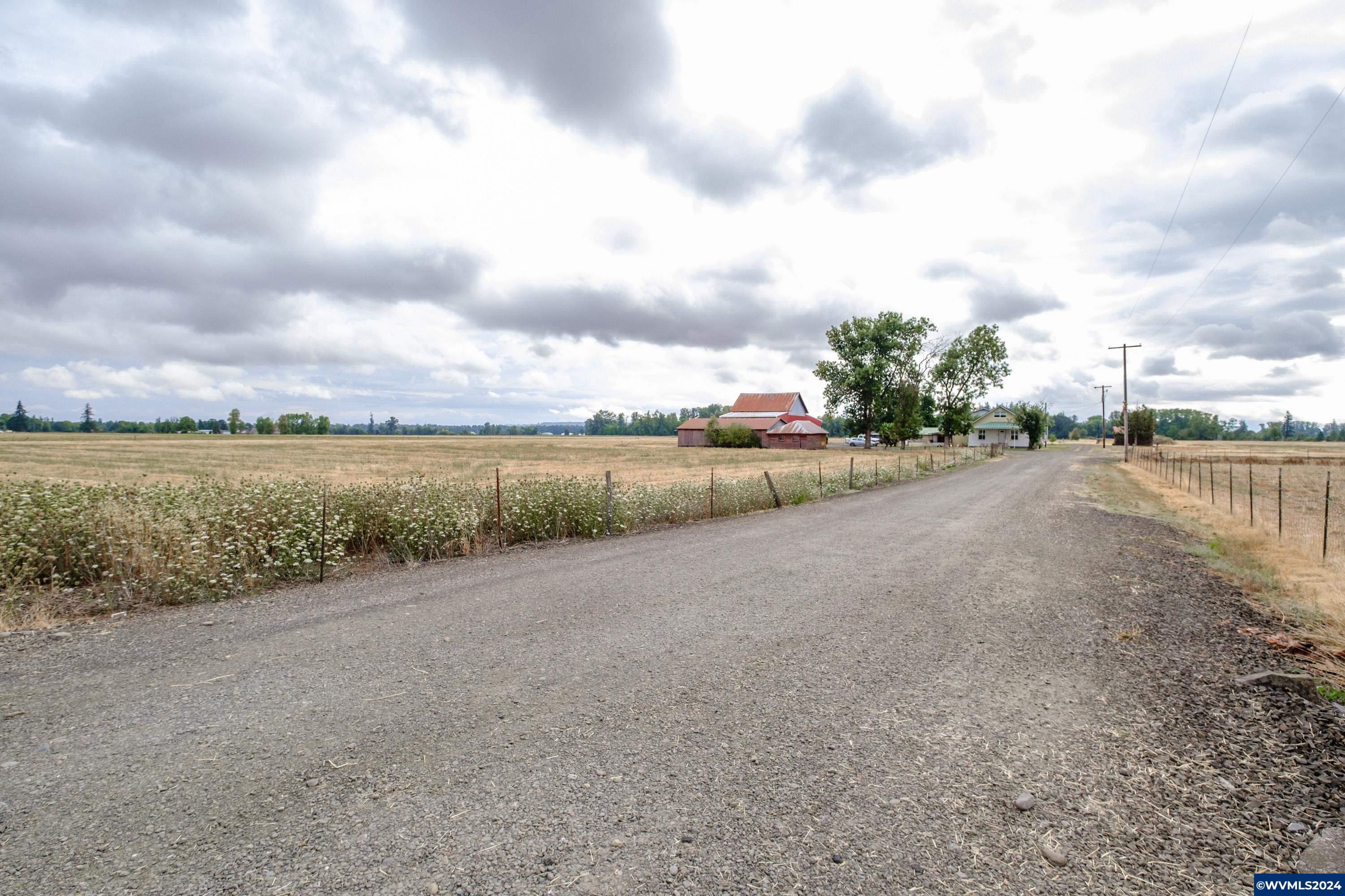 Image 49