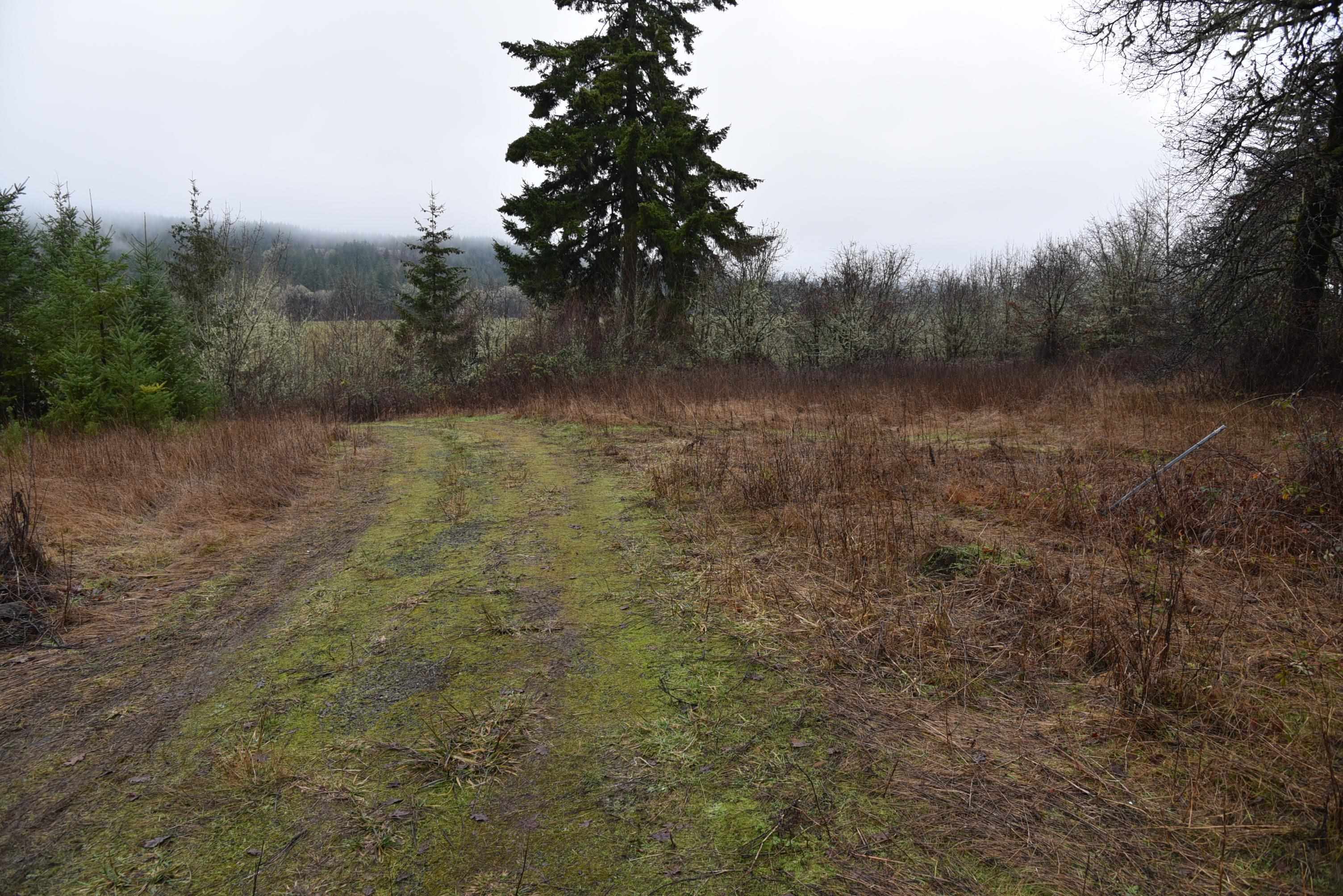 Image 14