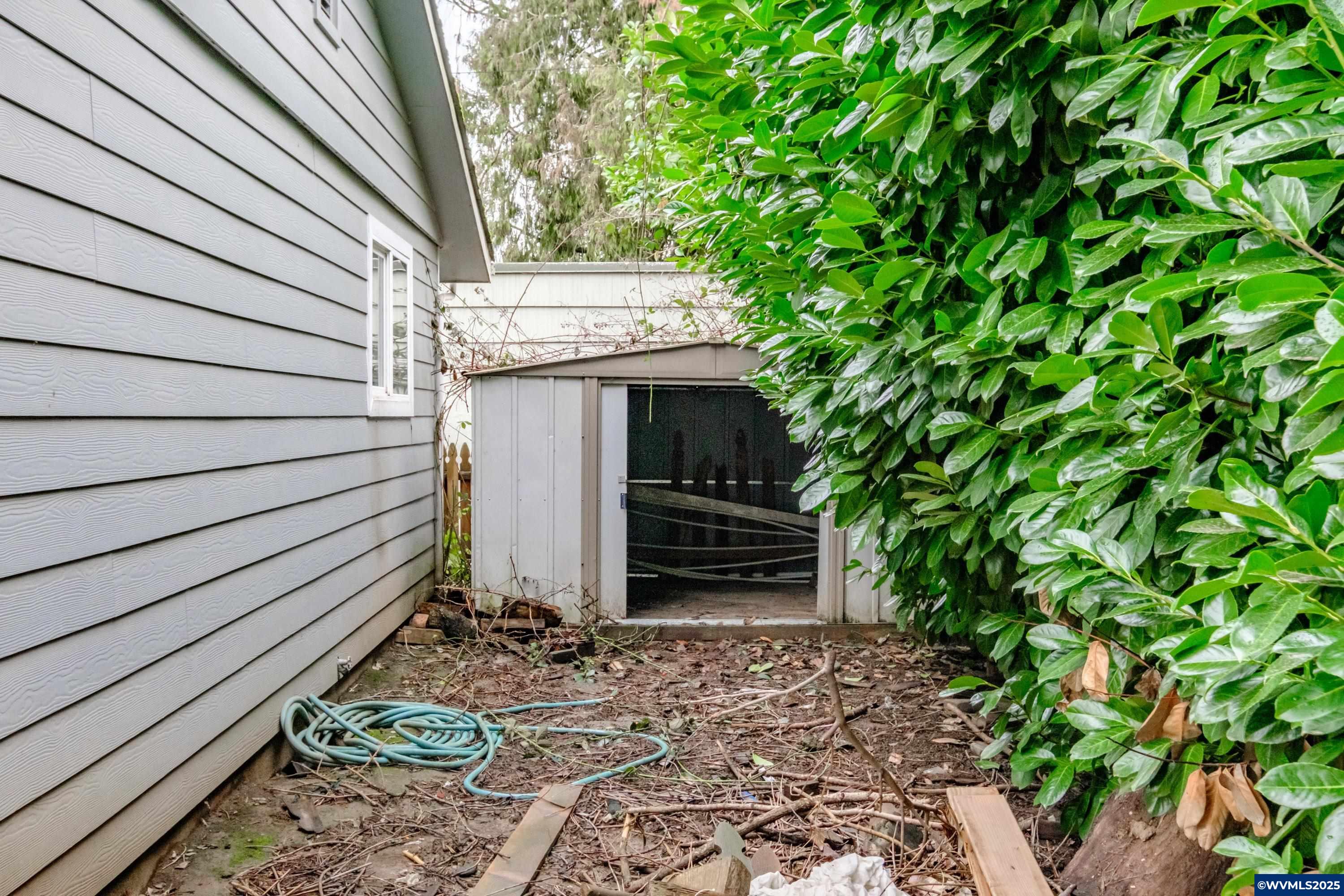 Image 19