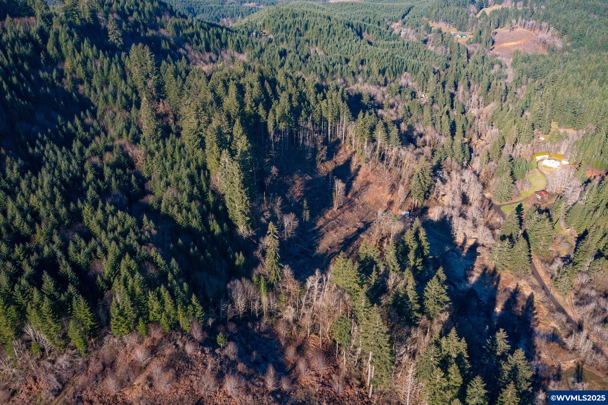 Image 13