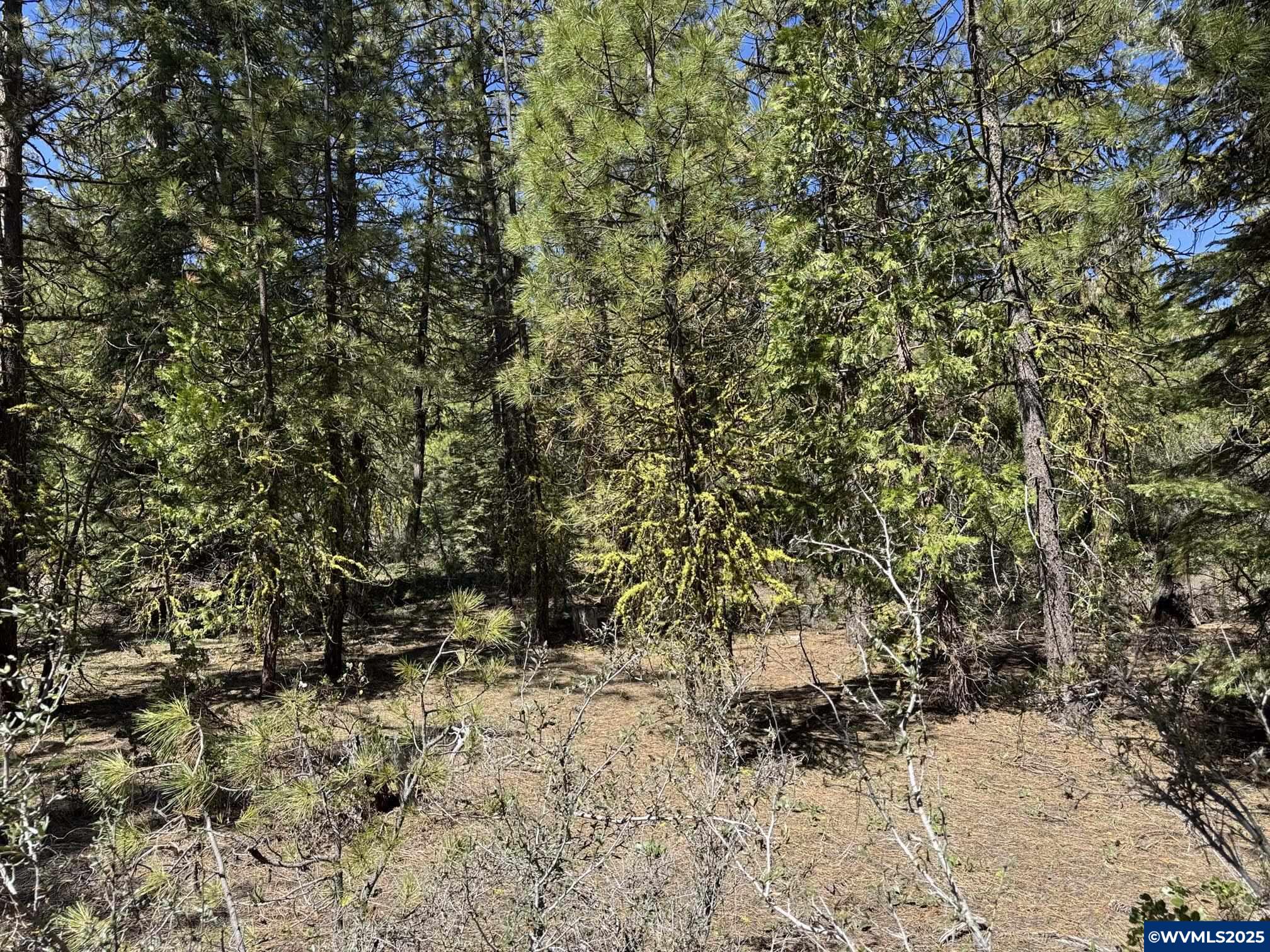 Image 33