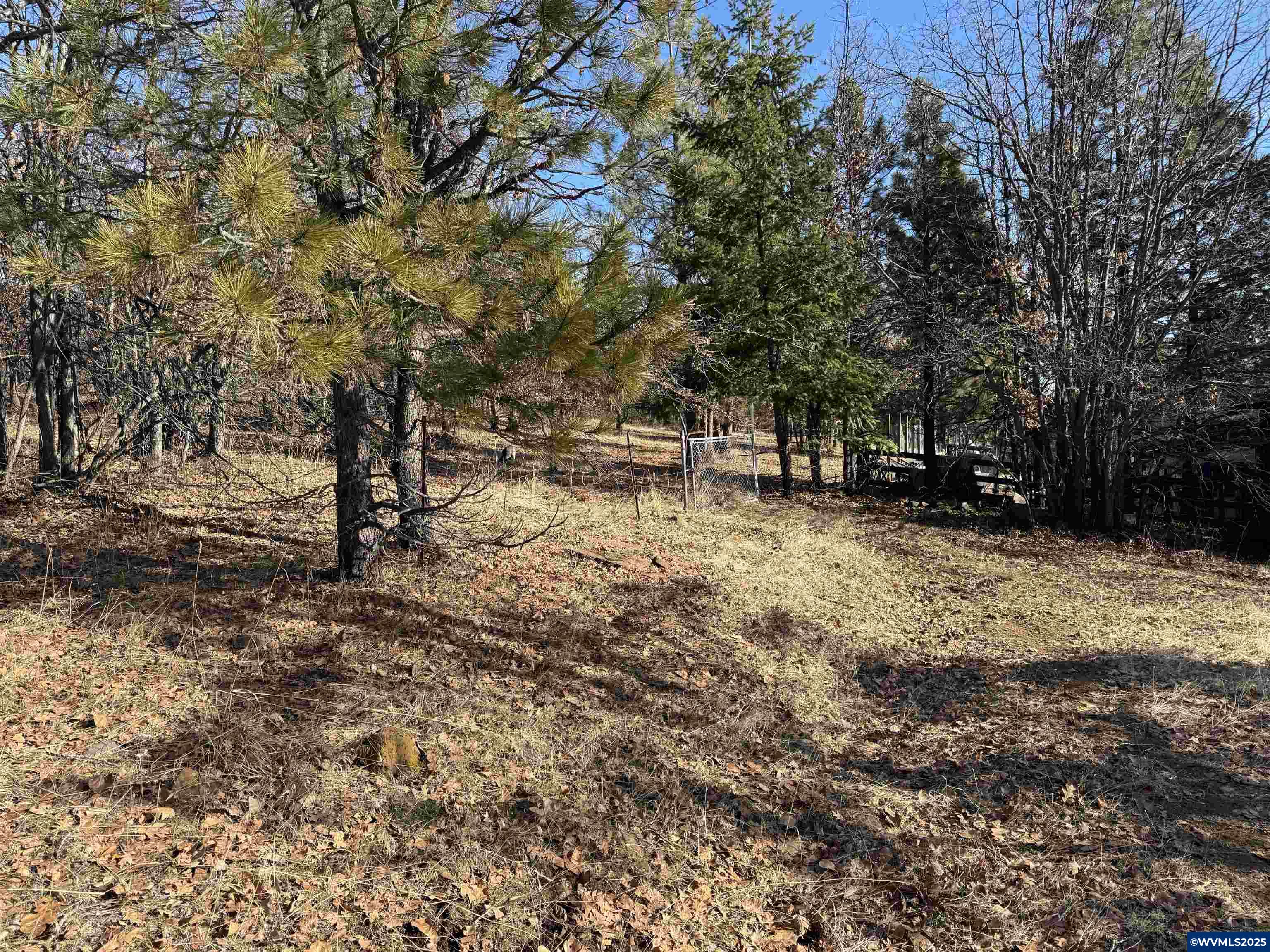 Image 12