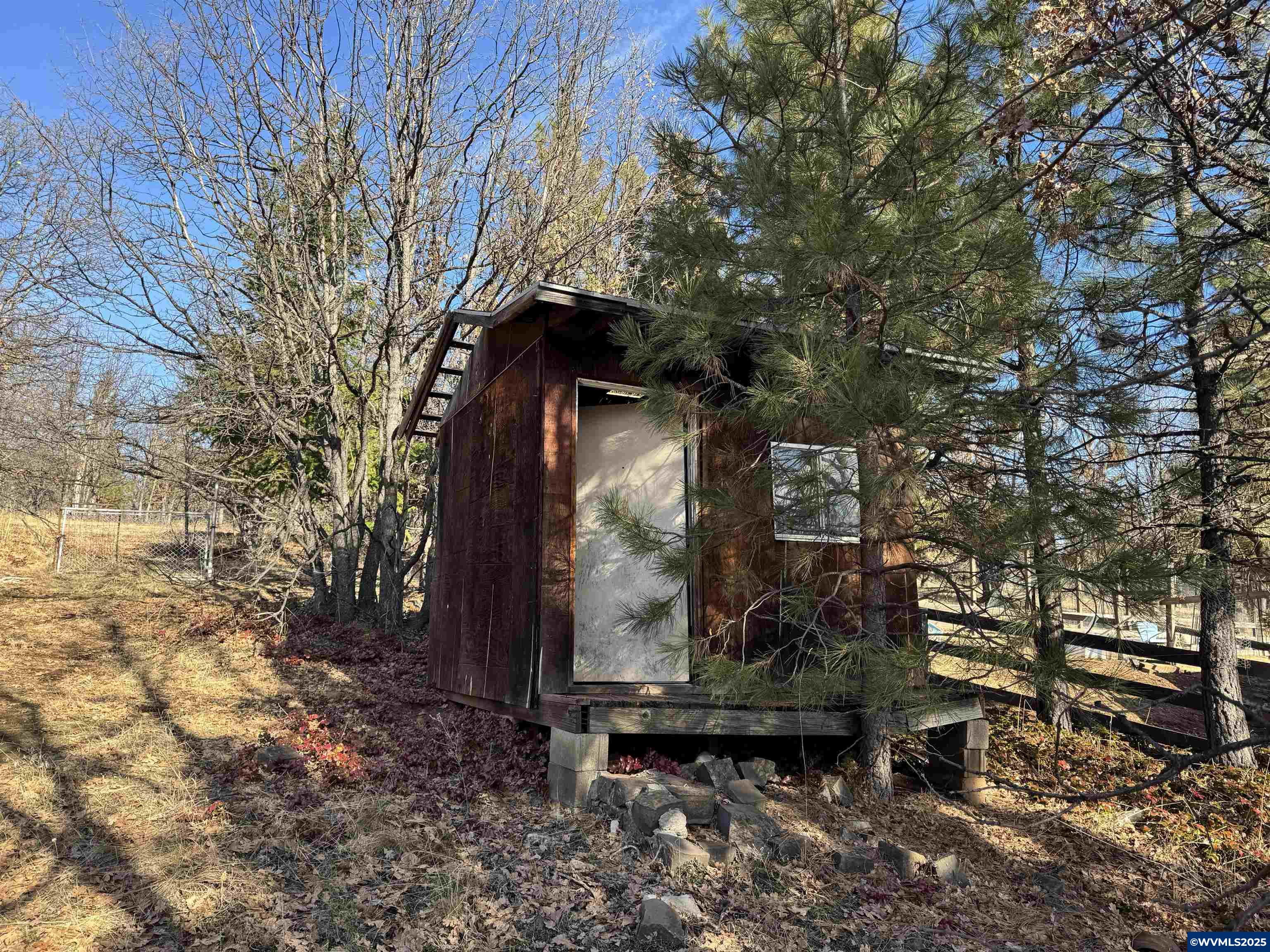 Image 8