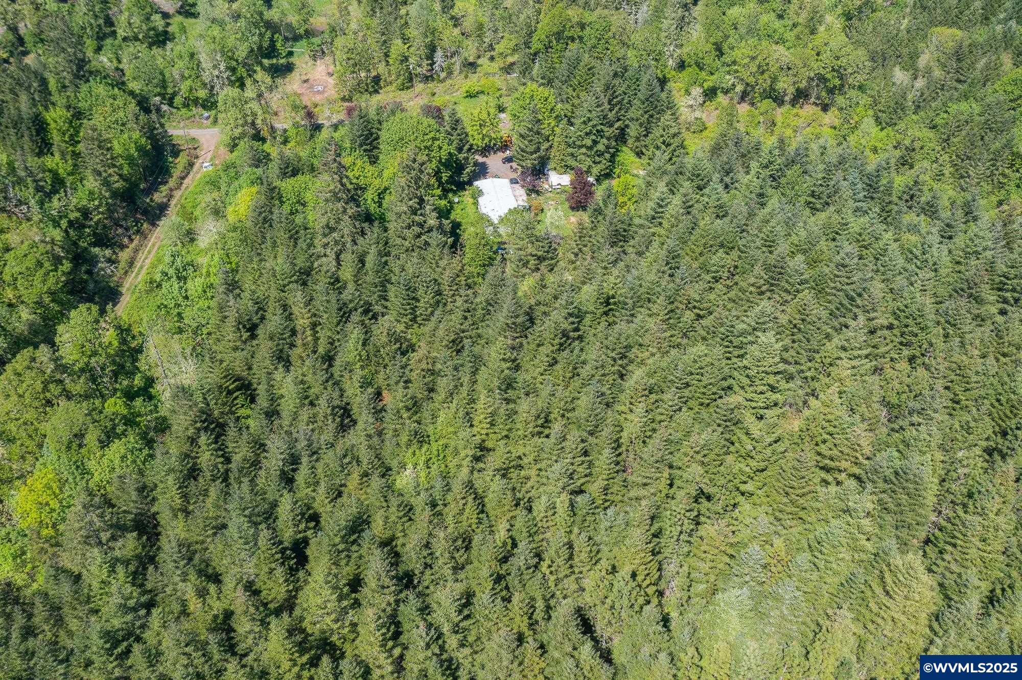 Image 14