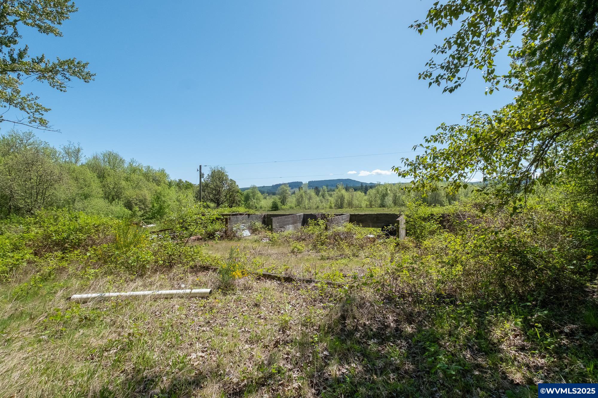 Image 25