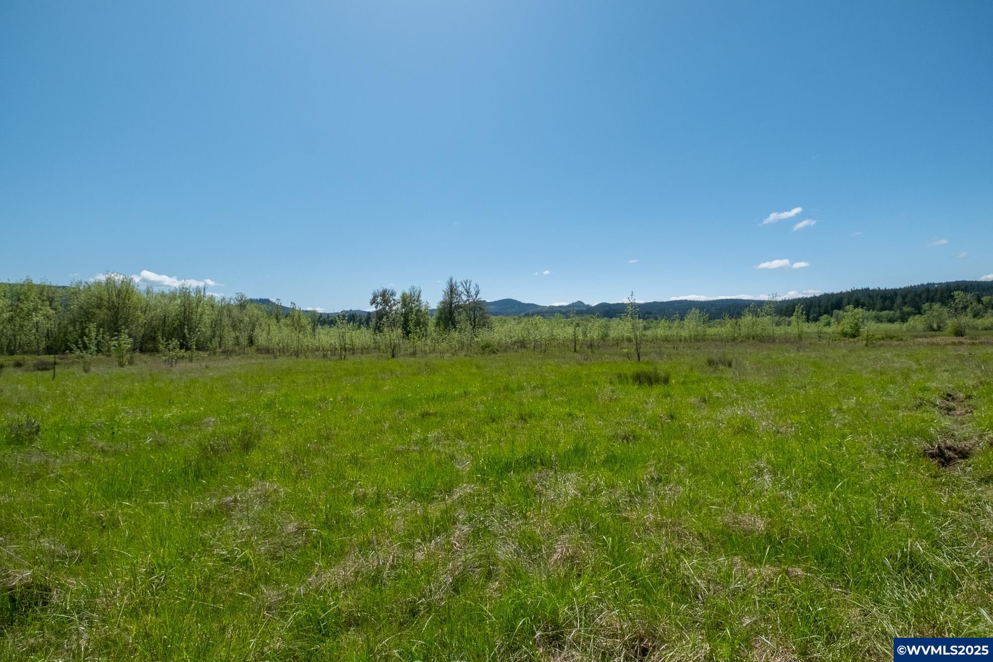 Image 33