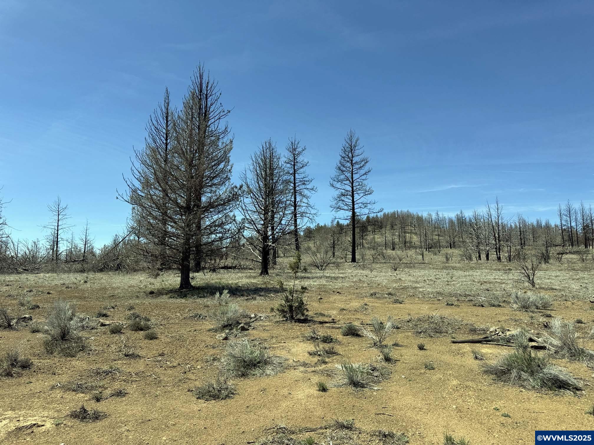 Image 35
