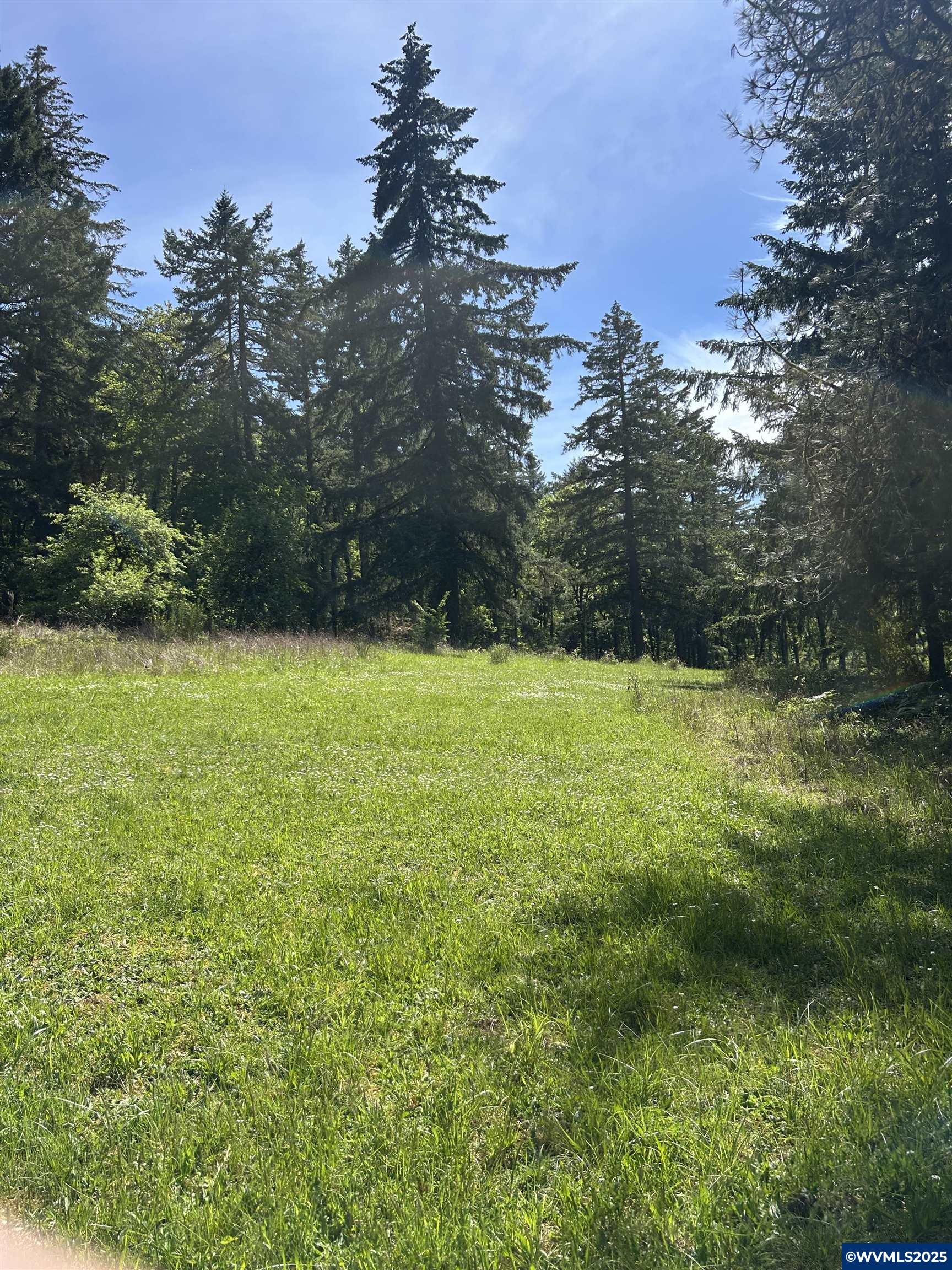 Image 13