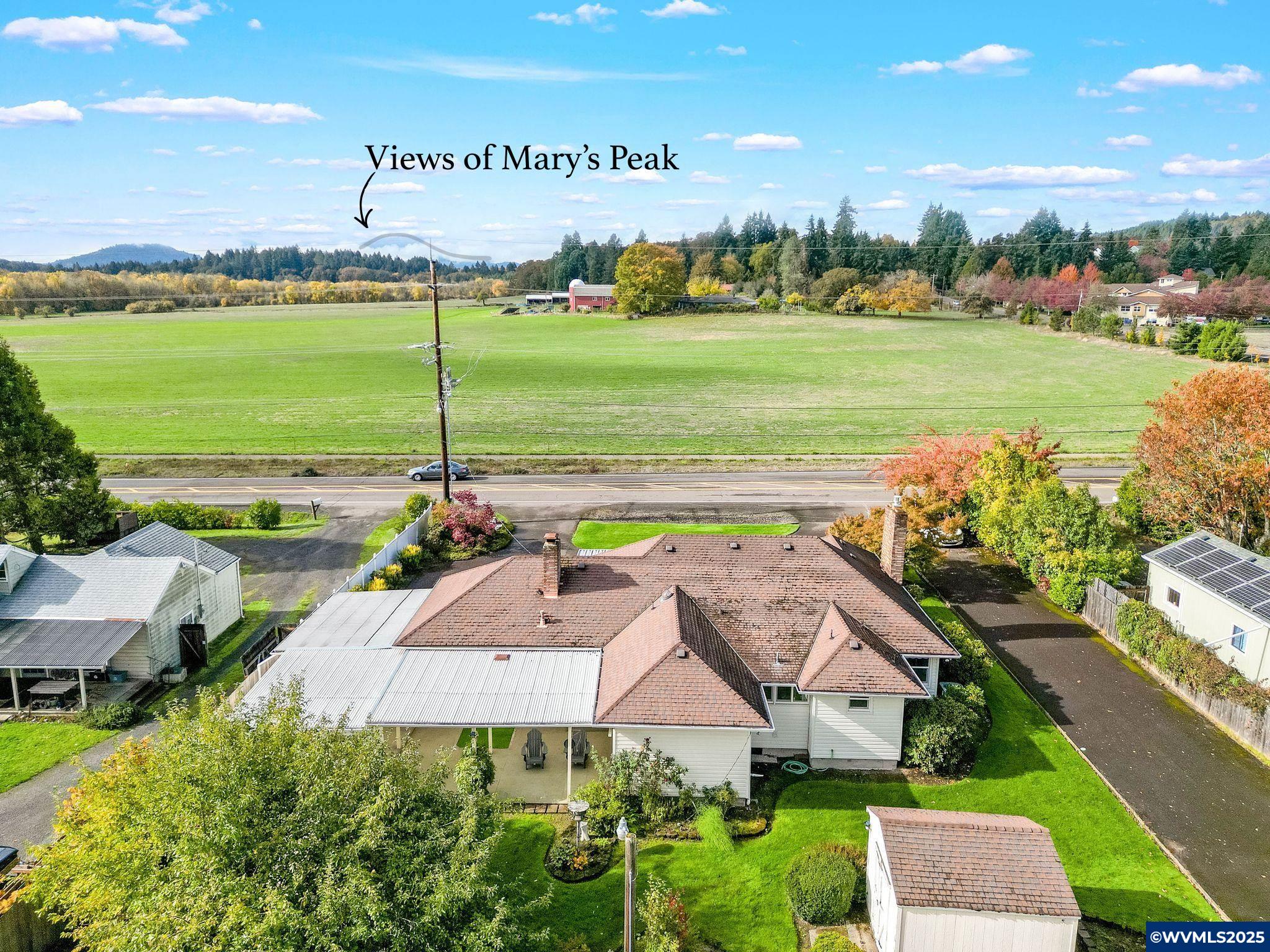 Image 24