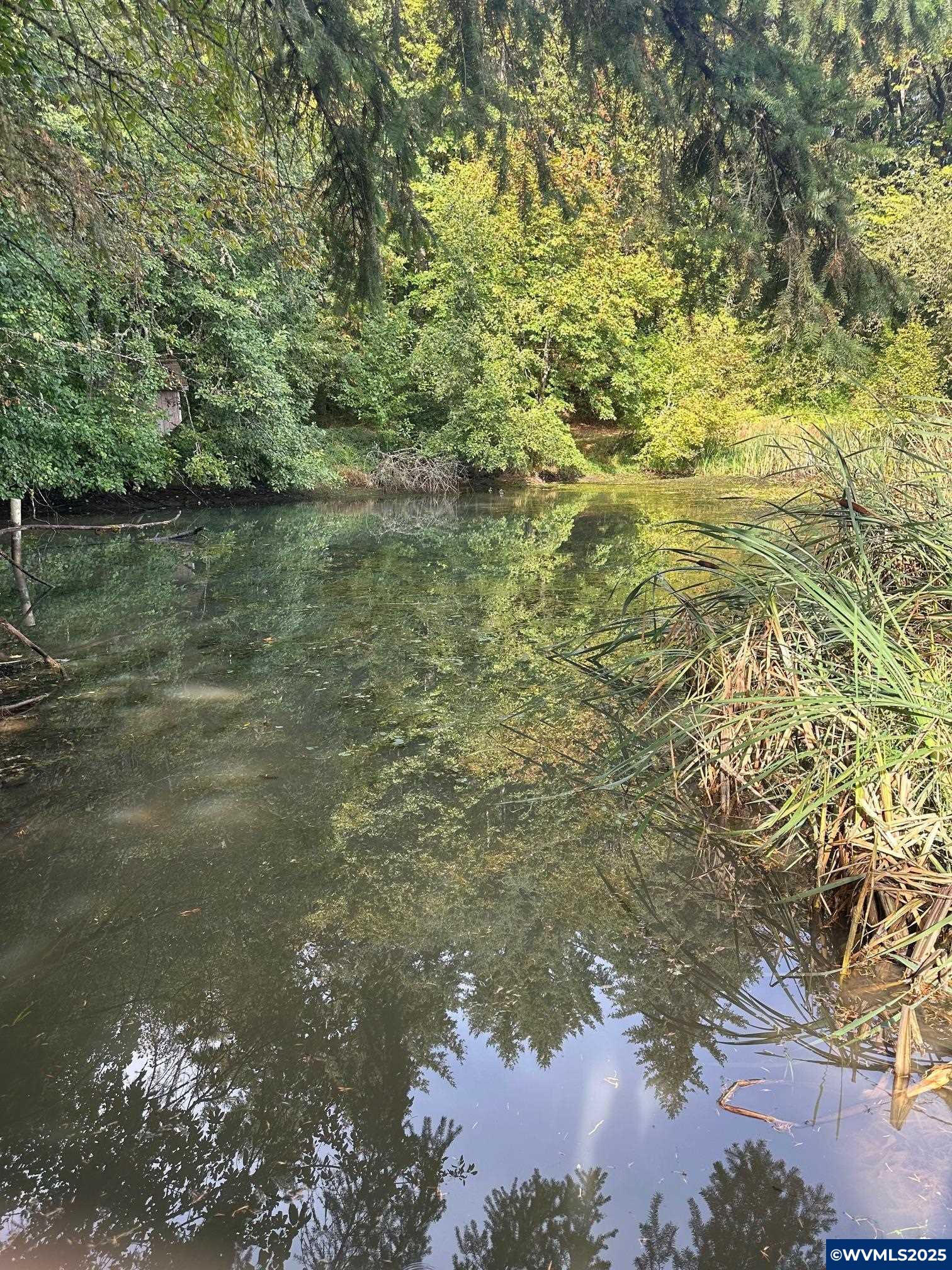Image 9