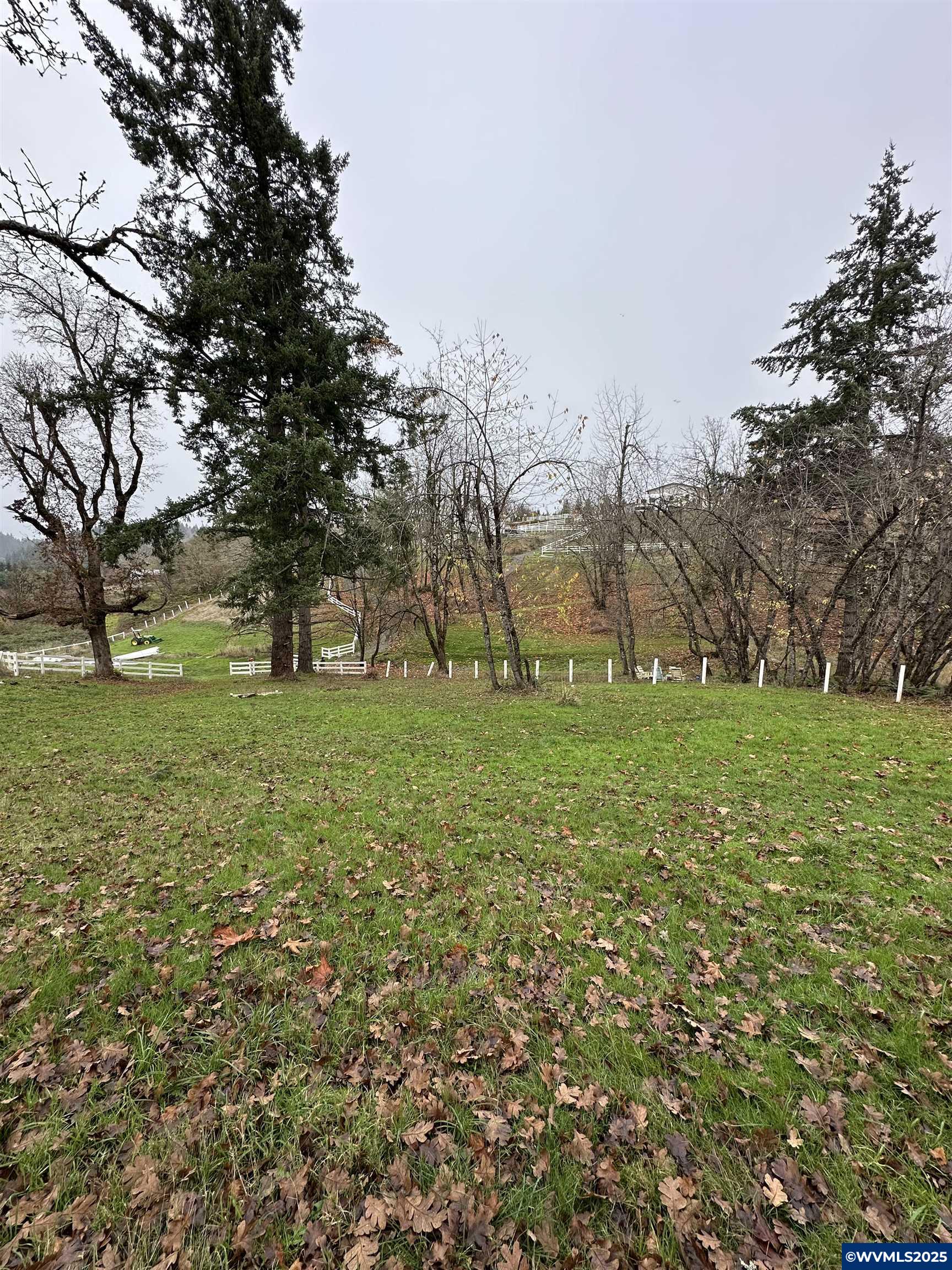 Image 14