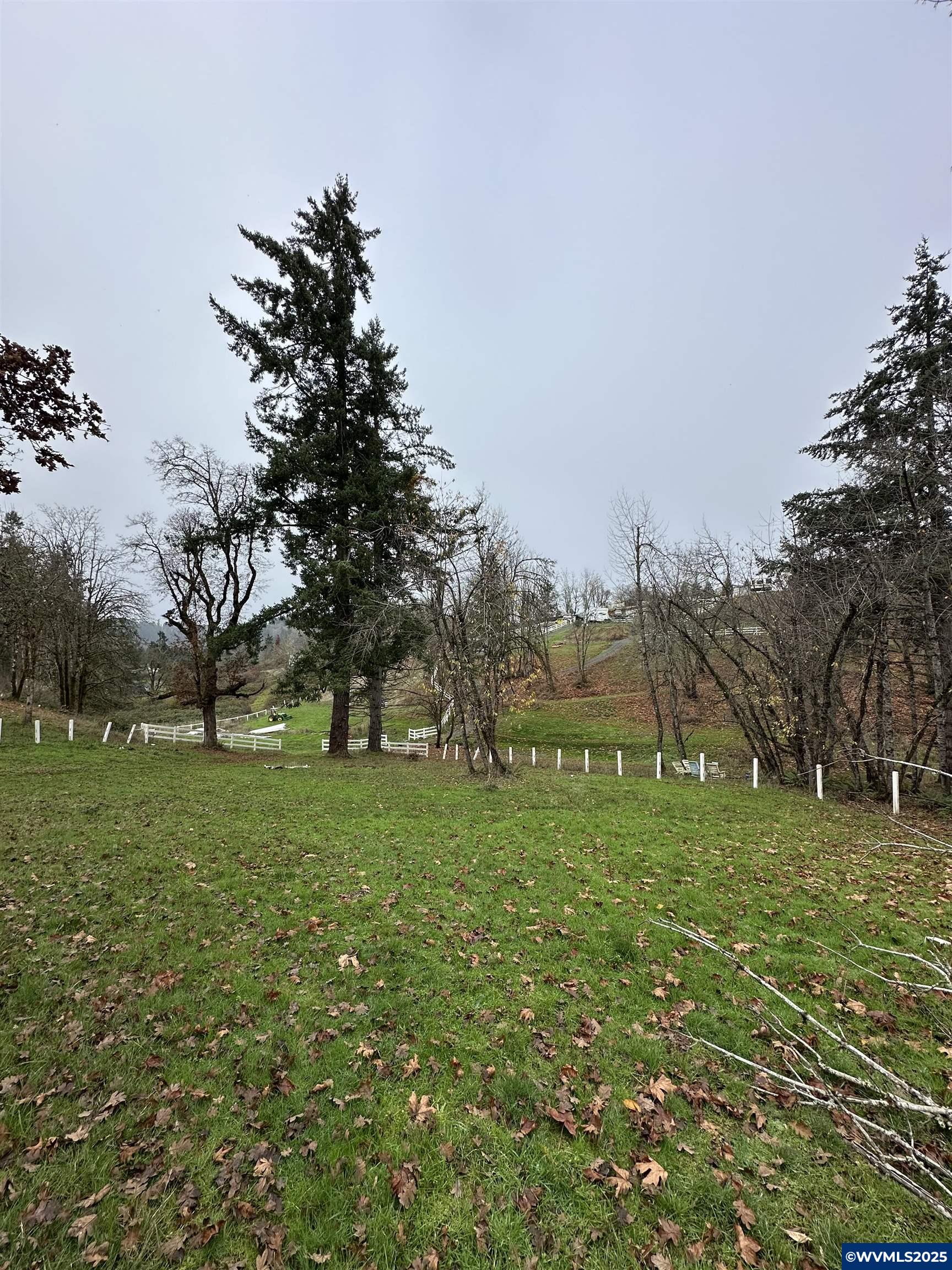 Image 15