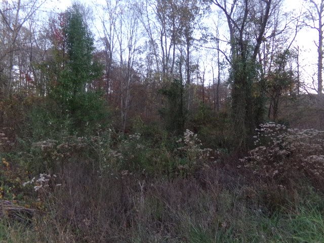 188 Cozy Meadows
