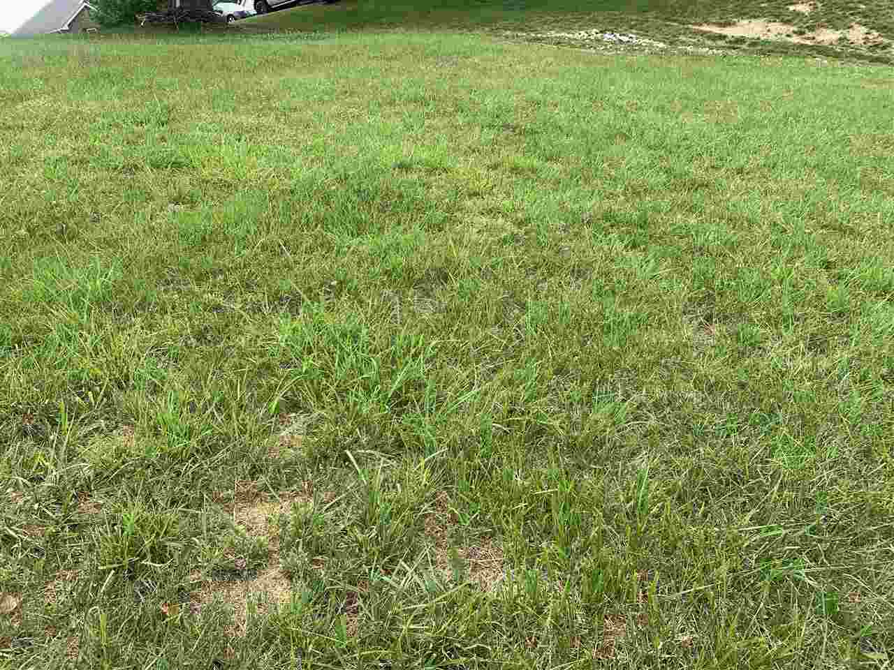 Tristen Way, Lot B-25