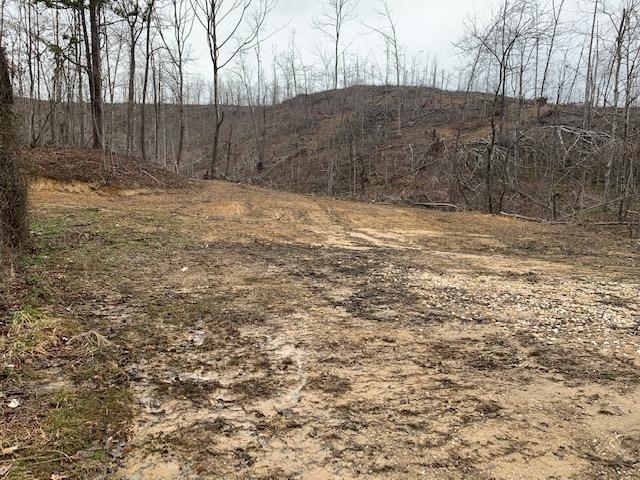 598 Little Huff Run Road