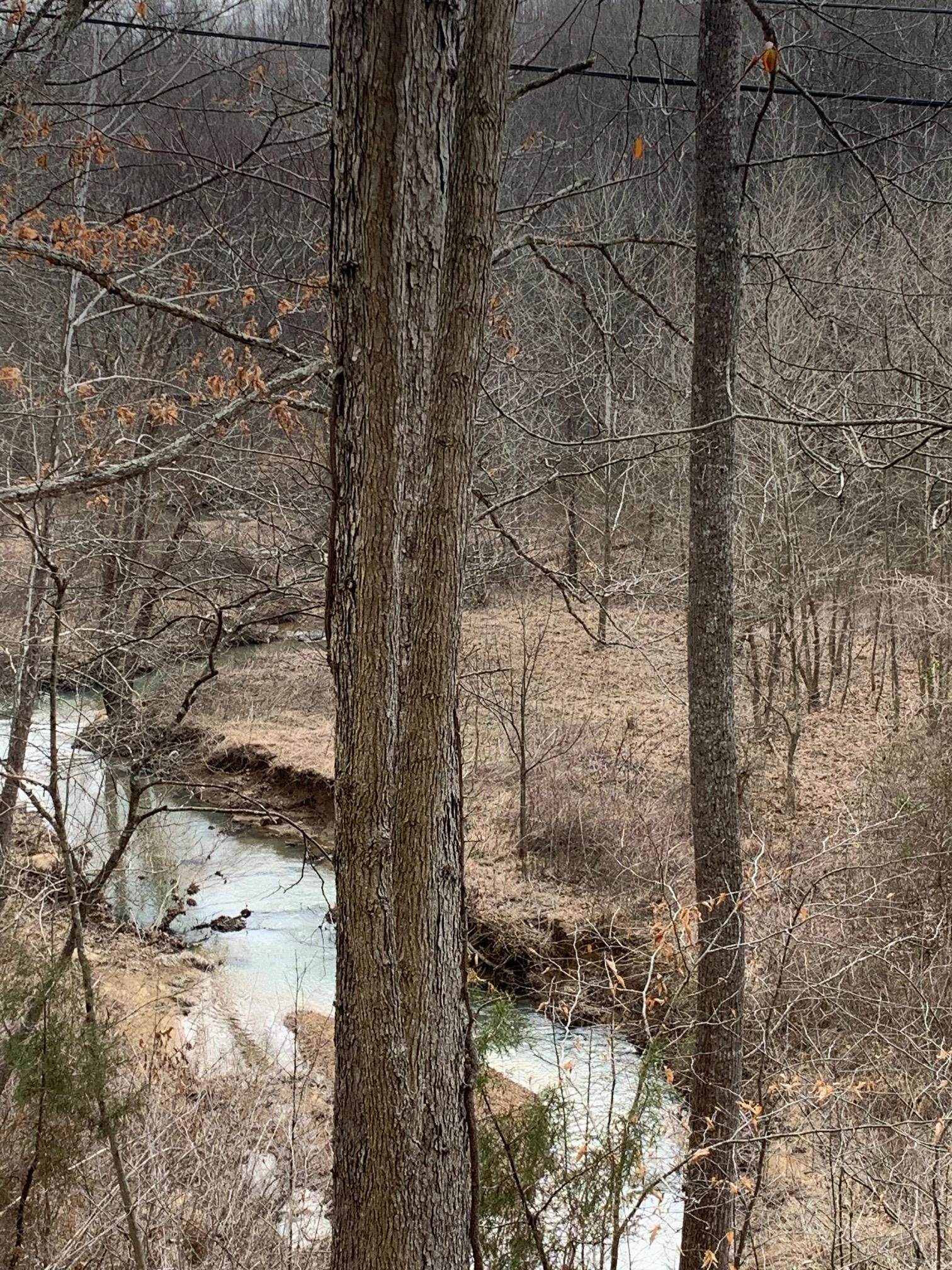 Cooksey Fork, 58 +/- acres