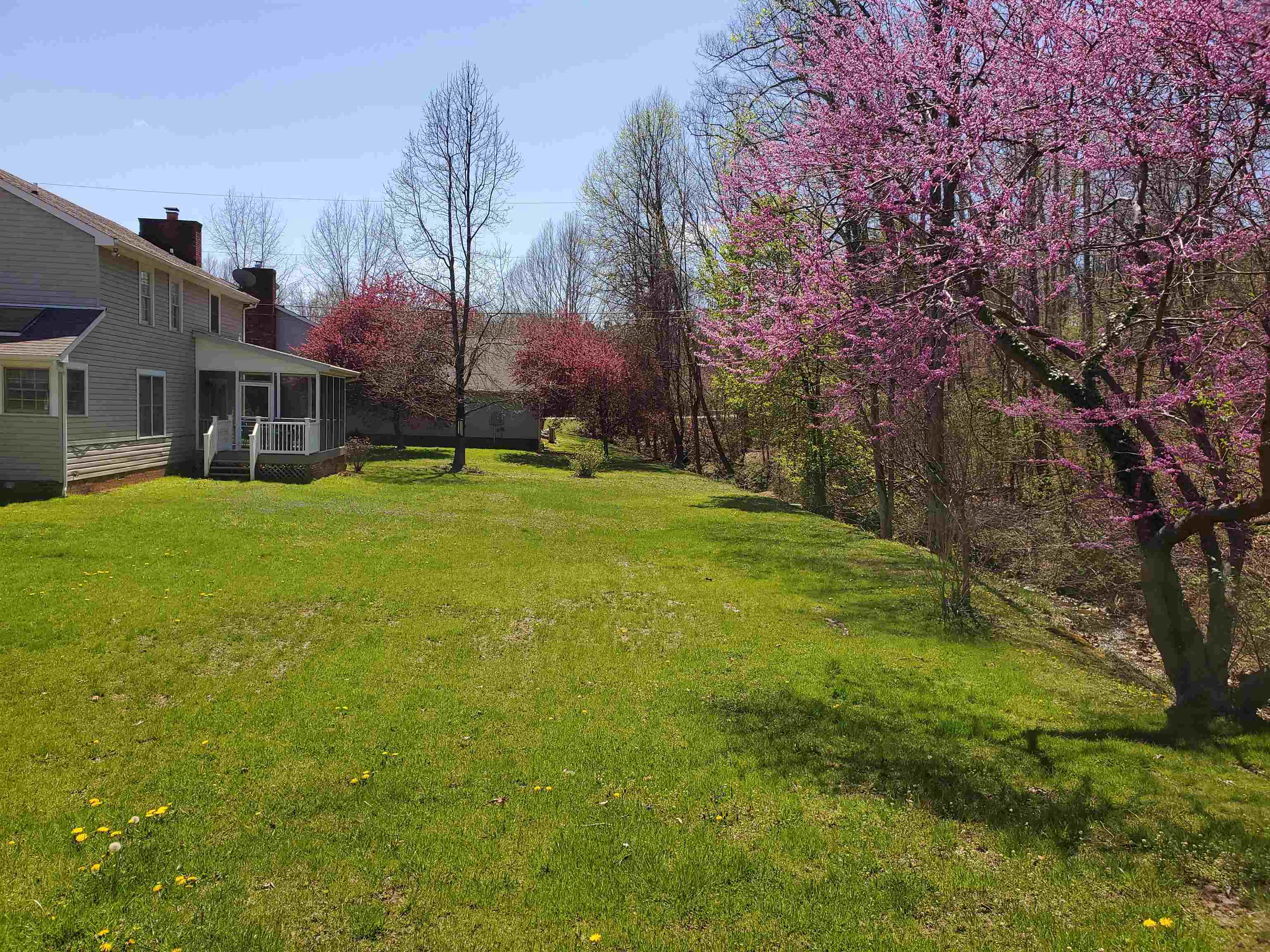 101 Bluebird Drive
