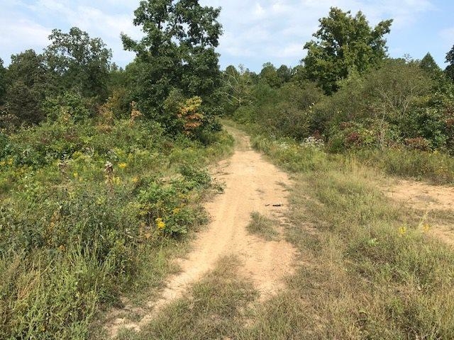Zimmerman Hill