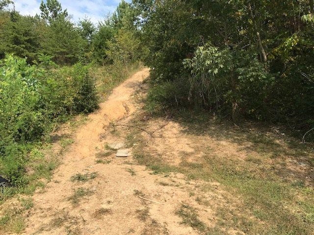 Zimmerman Hill