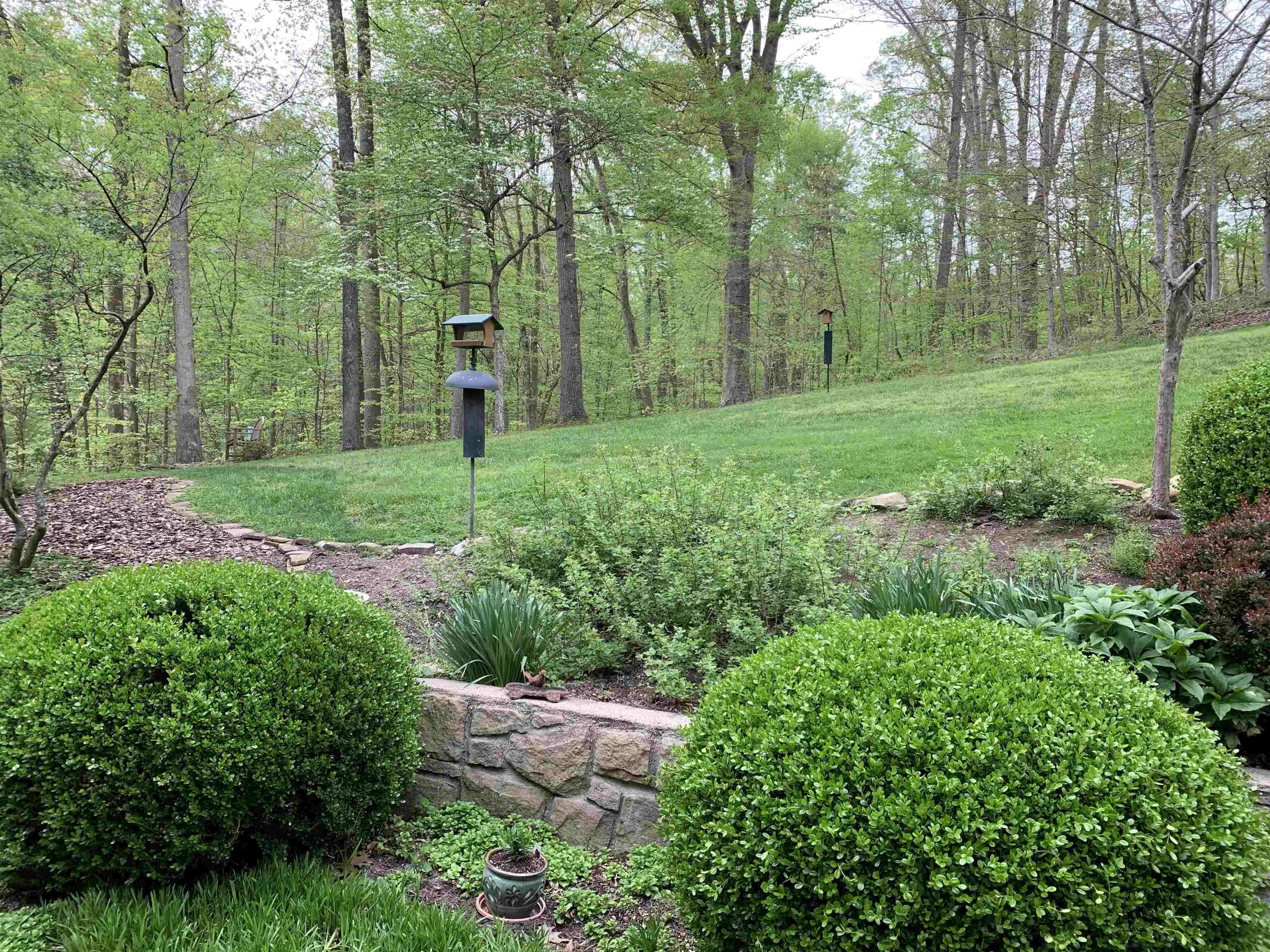 3411 Boy Scout Road
