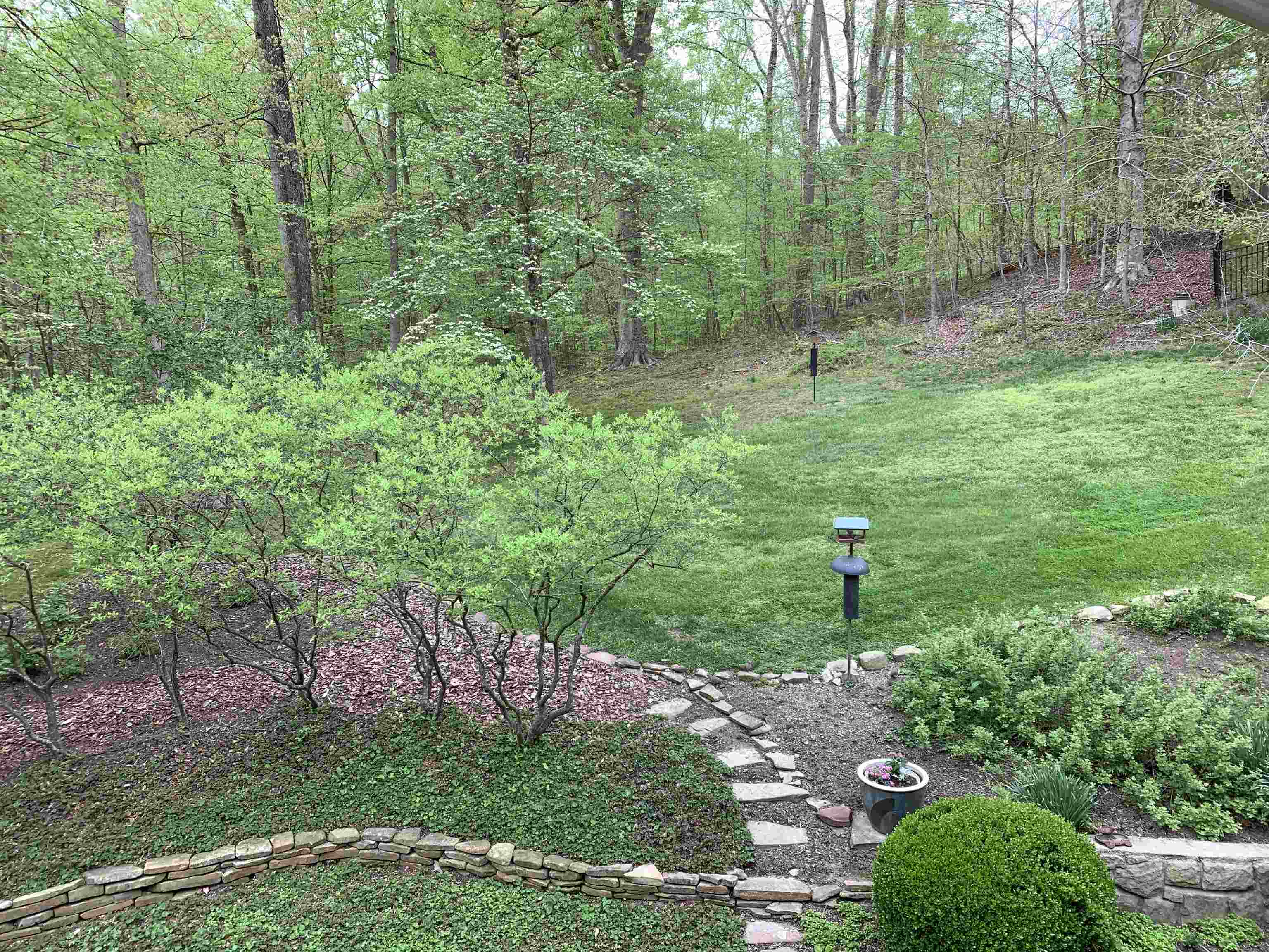 3411 Boy Scout Road