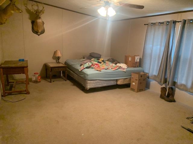 204 Lark Spur
