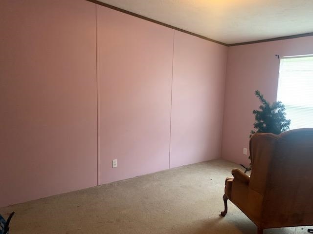 204 Lark Spur