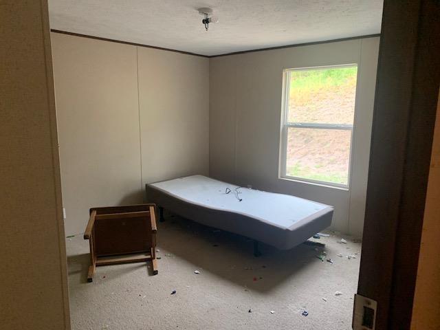 204 Lark Spur