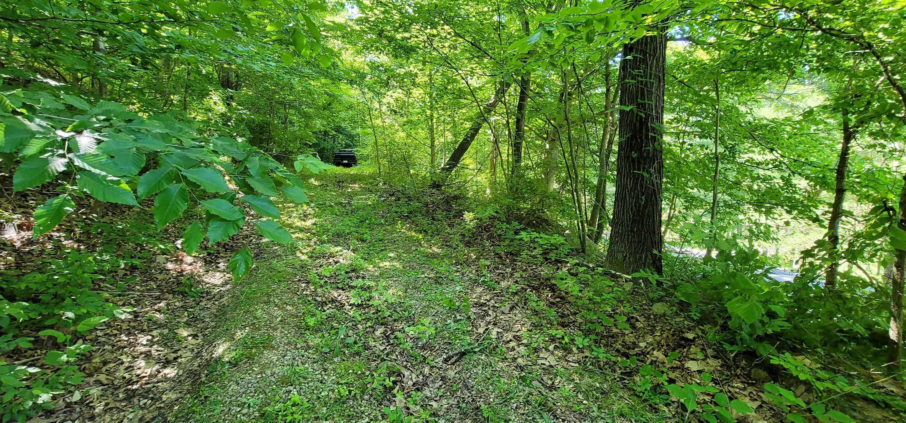 6346 State Route 207