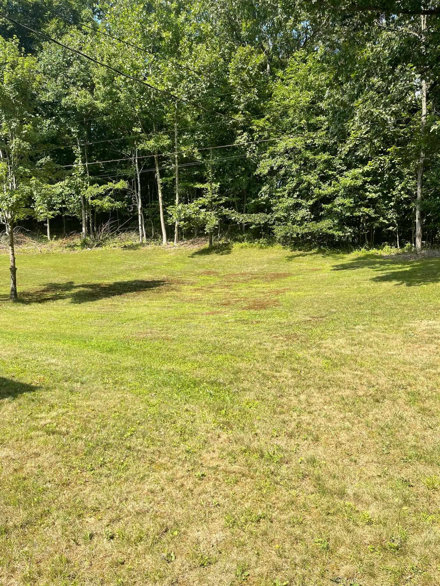 77 Honaker Drive