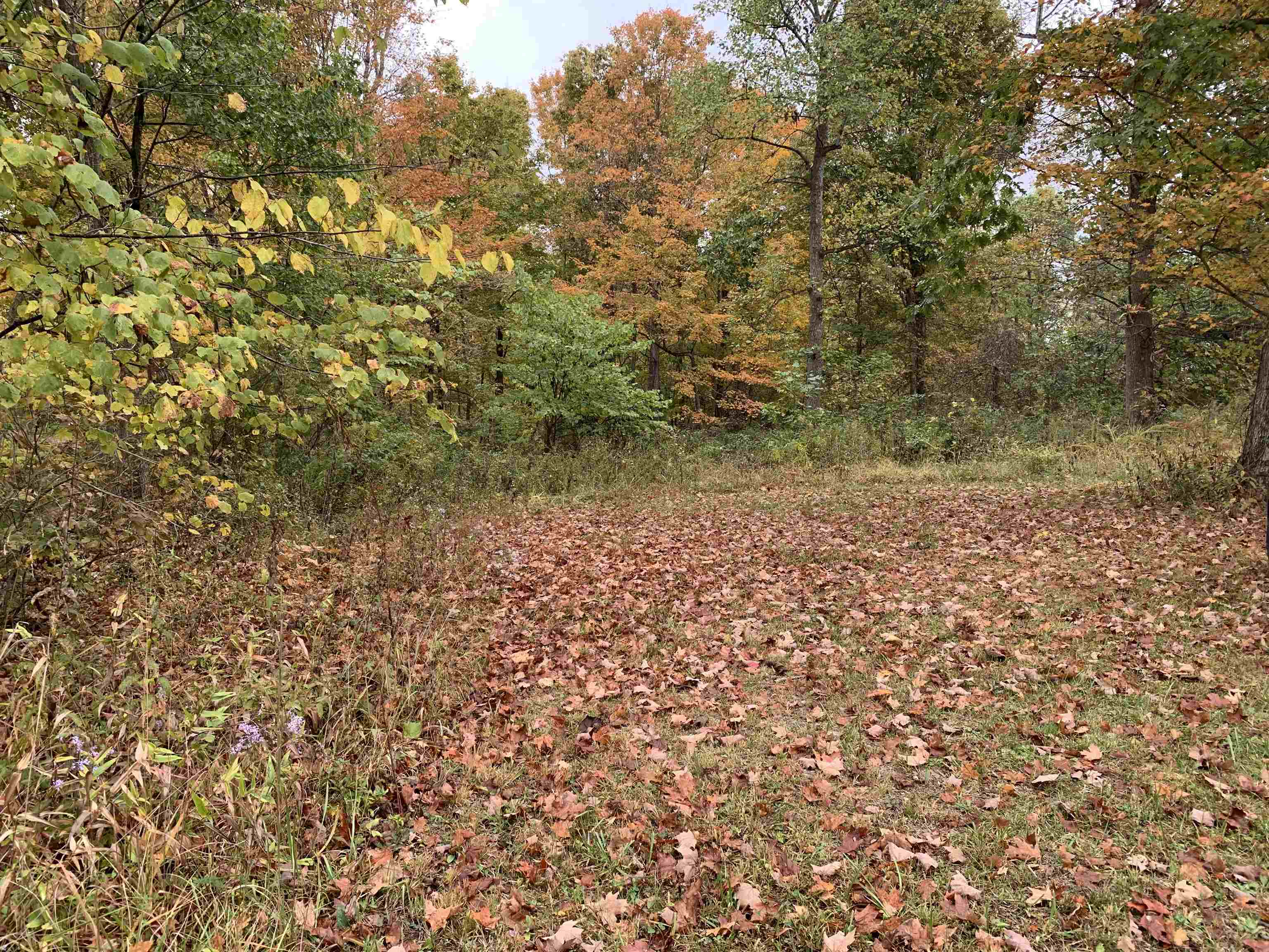 Cooper Ridge 12+/- Acres