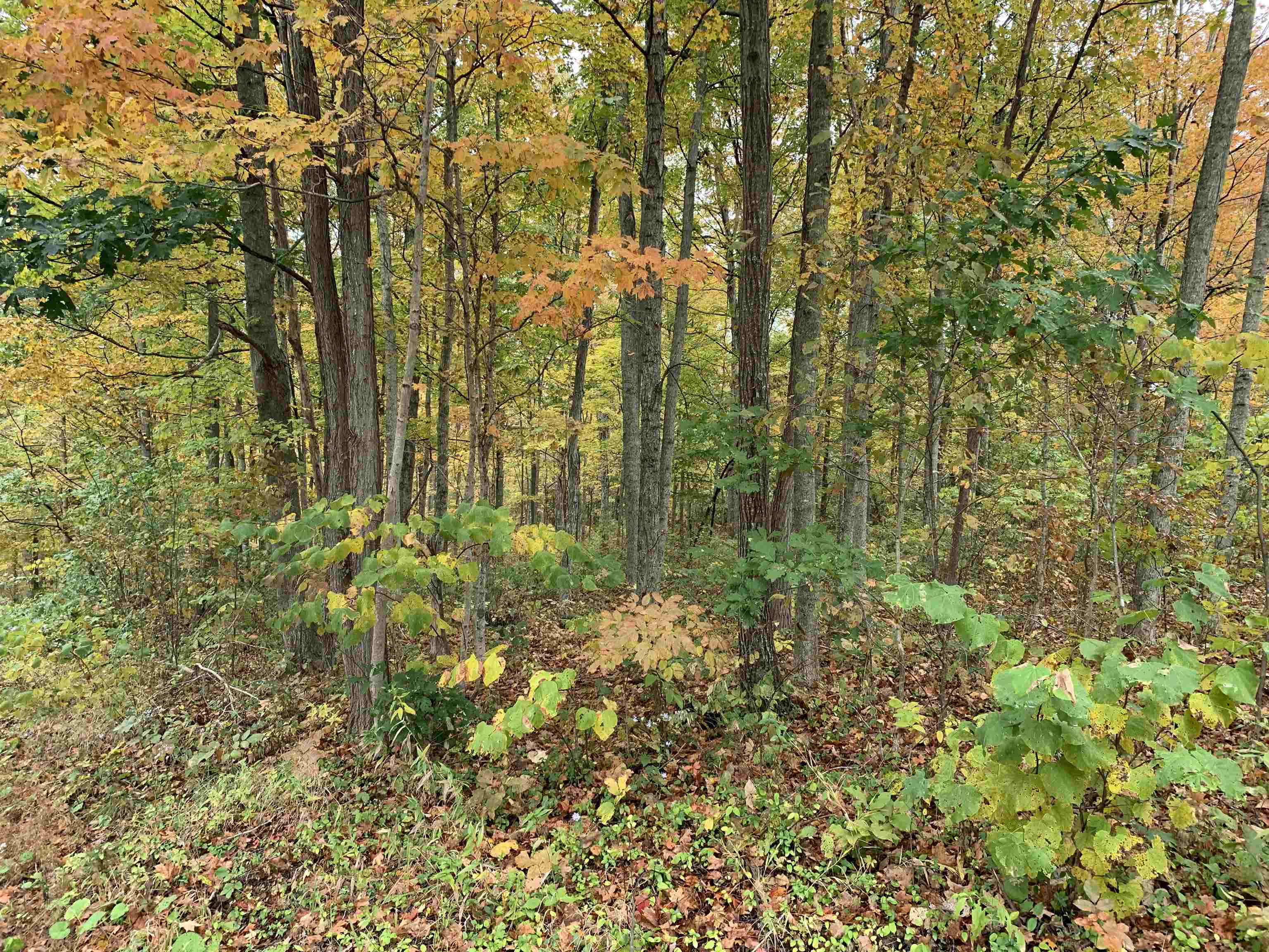 Cooper Ridge 12+/- Acres