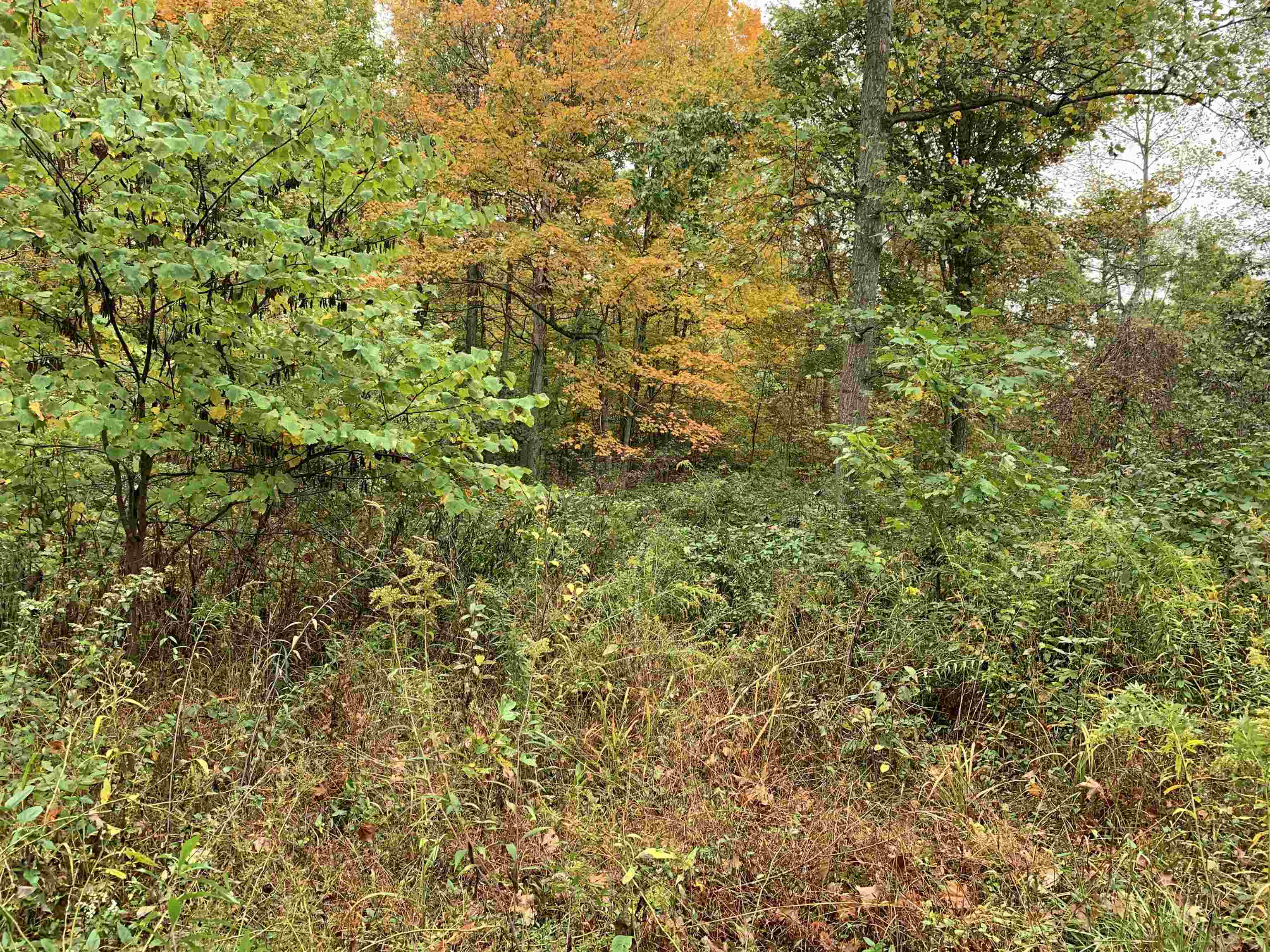 Cooper Ridge 12+/- Acres