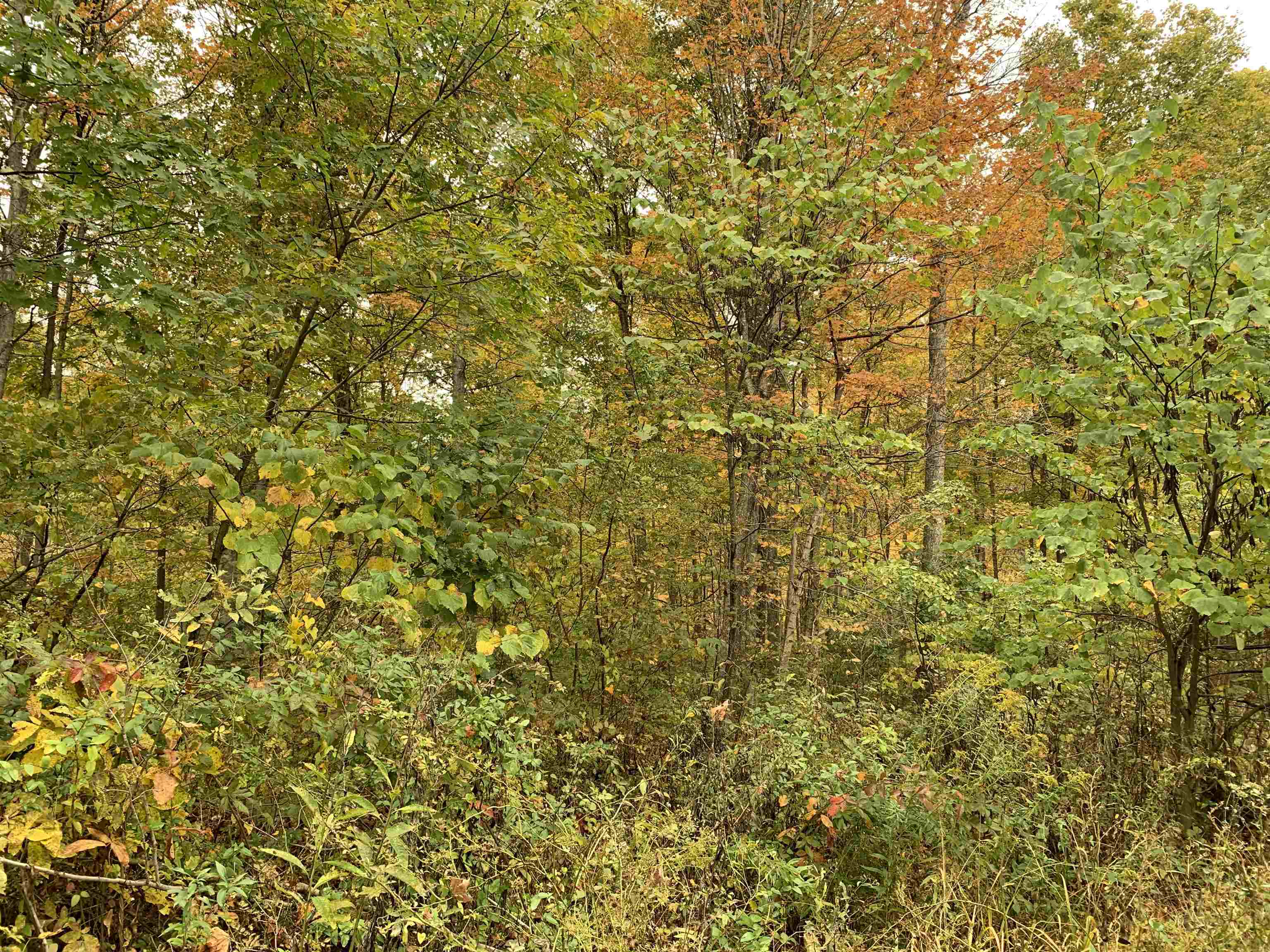 Cooper Ridge 12+/- Acres