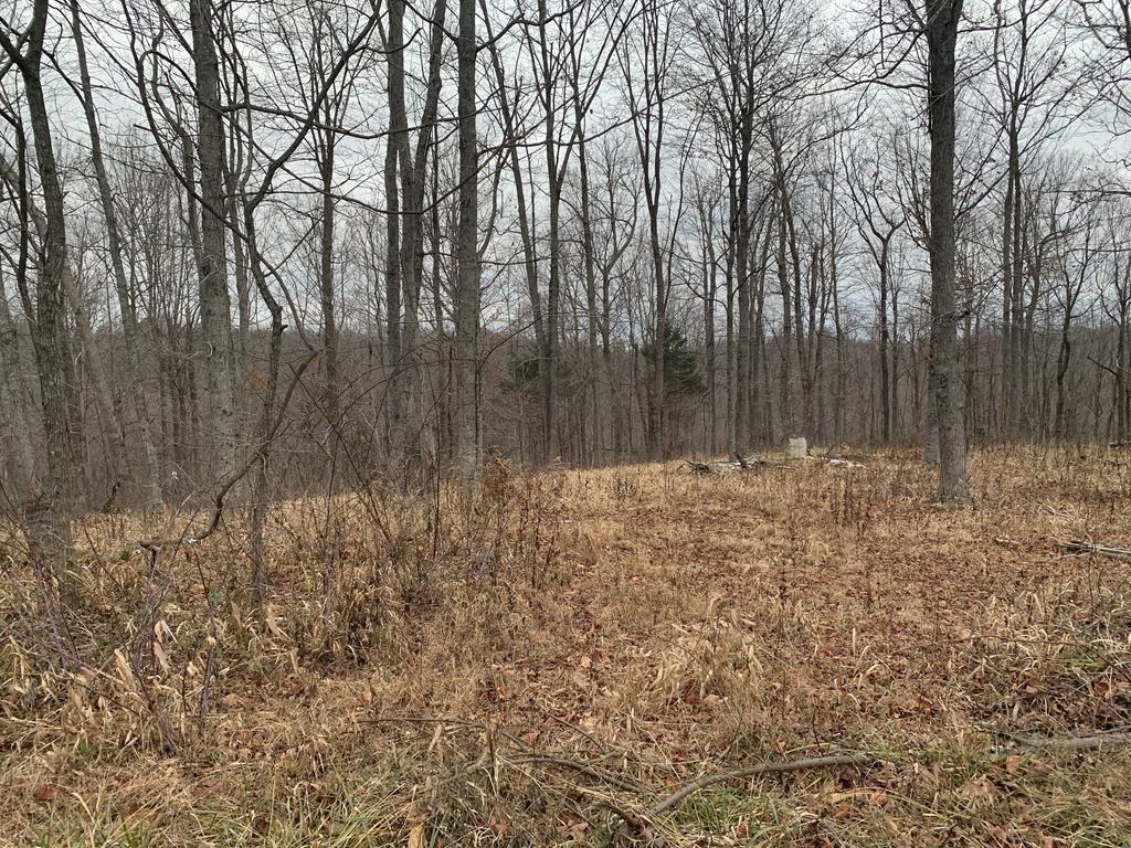 COOPER RIDGE