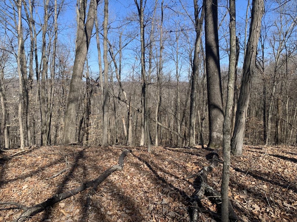 0 Woodland Way